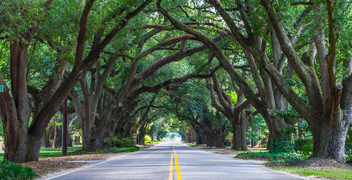 Moving To Aiken Sc Living In Aiken Sc
