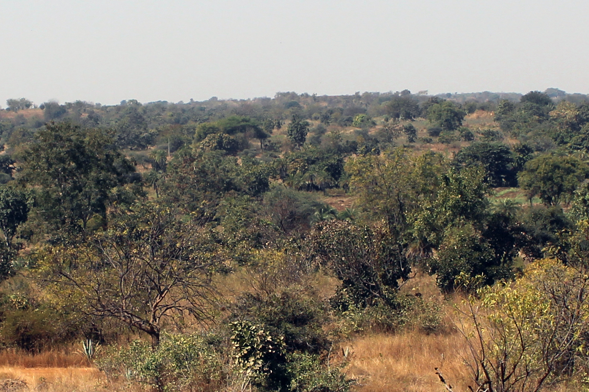 Farm Land in Hyderabad For Sale Buy Farm Land in Hyderabad