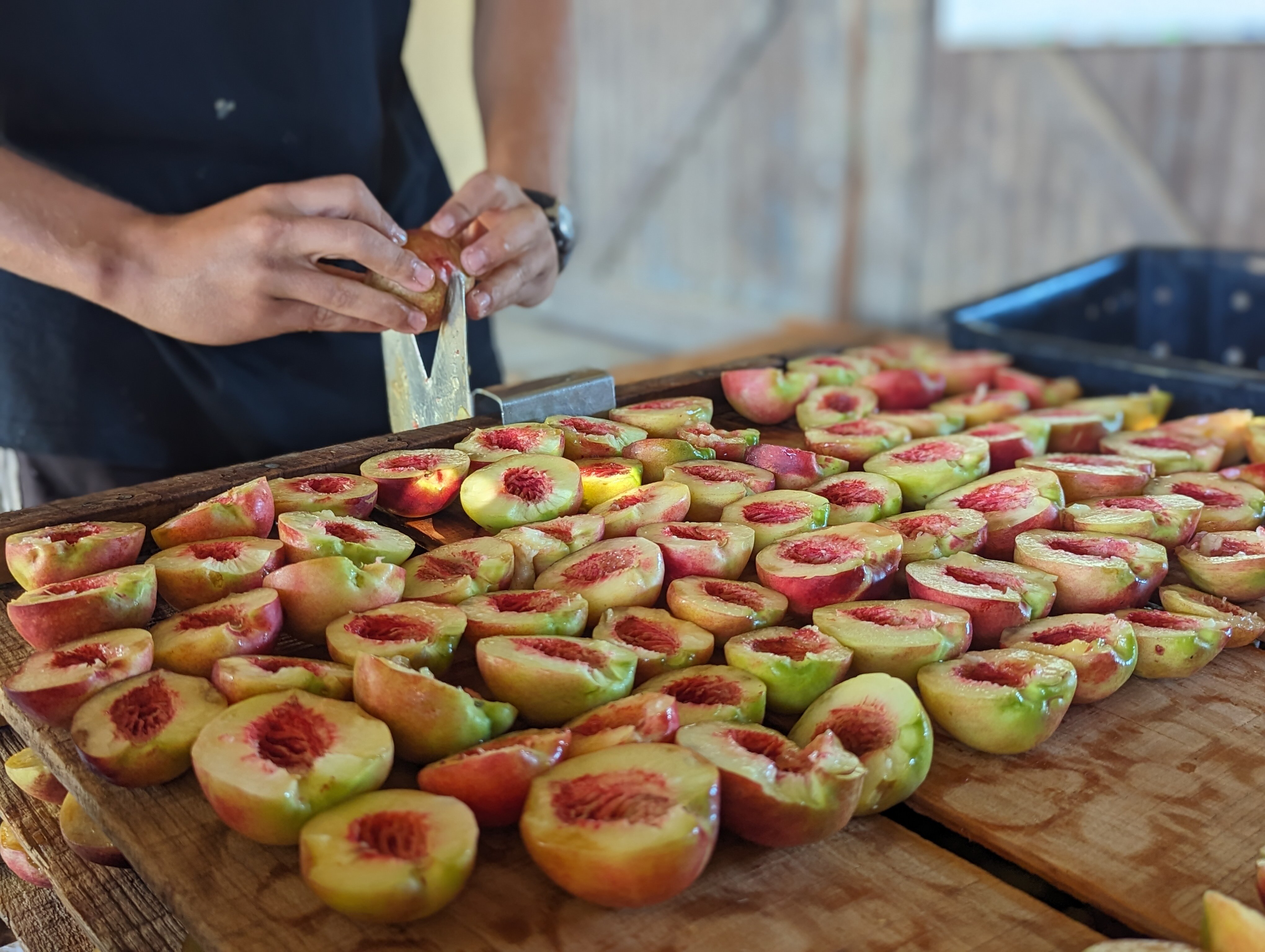 Dried Fruits Australia warns a wet summer may mean a shortage of