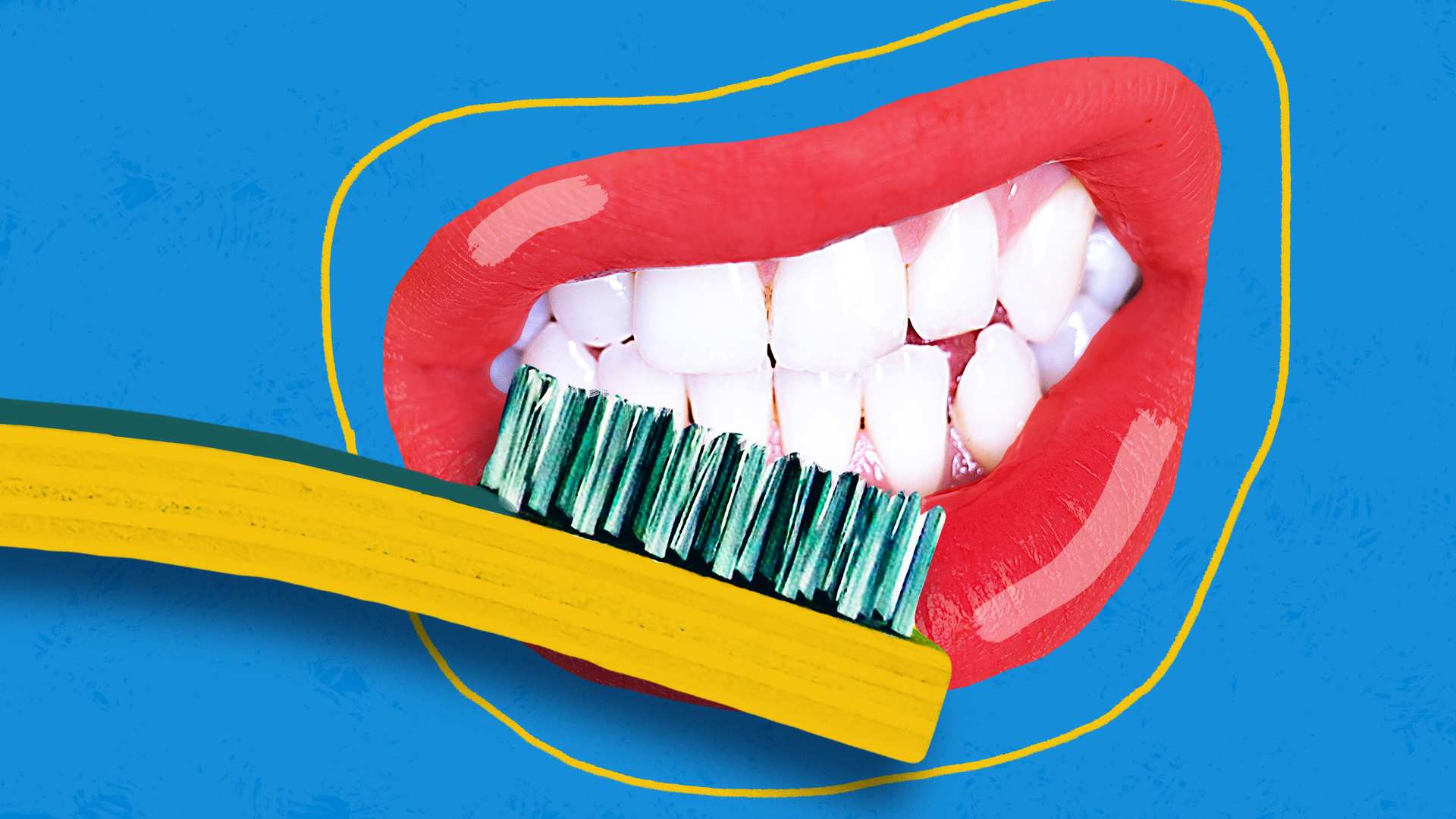 Can You Brush Your Dogs Teeth Twice A Day