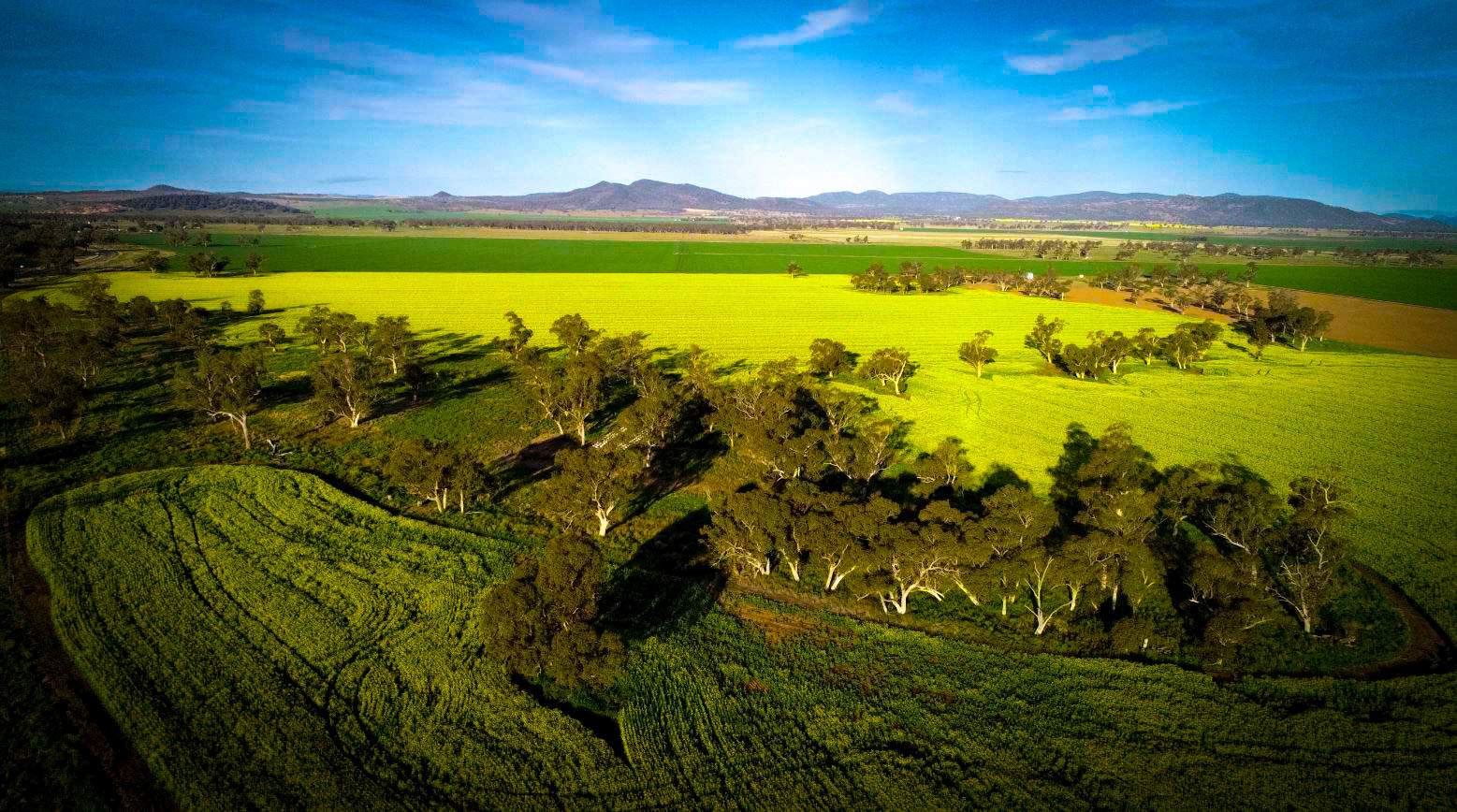 More from Upper Hunter, New England and North West Rural Report ABC