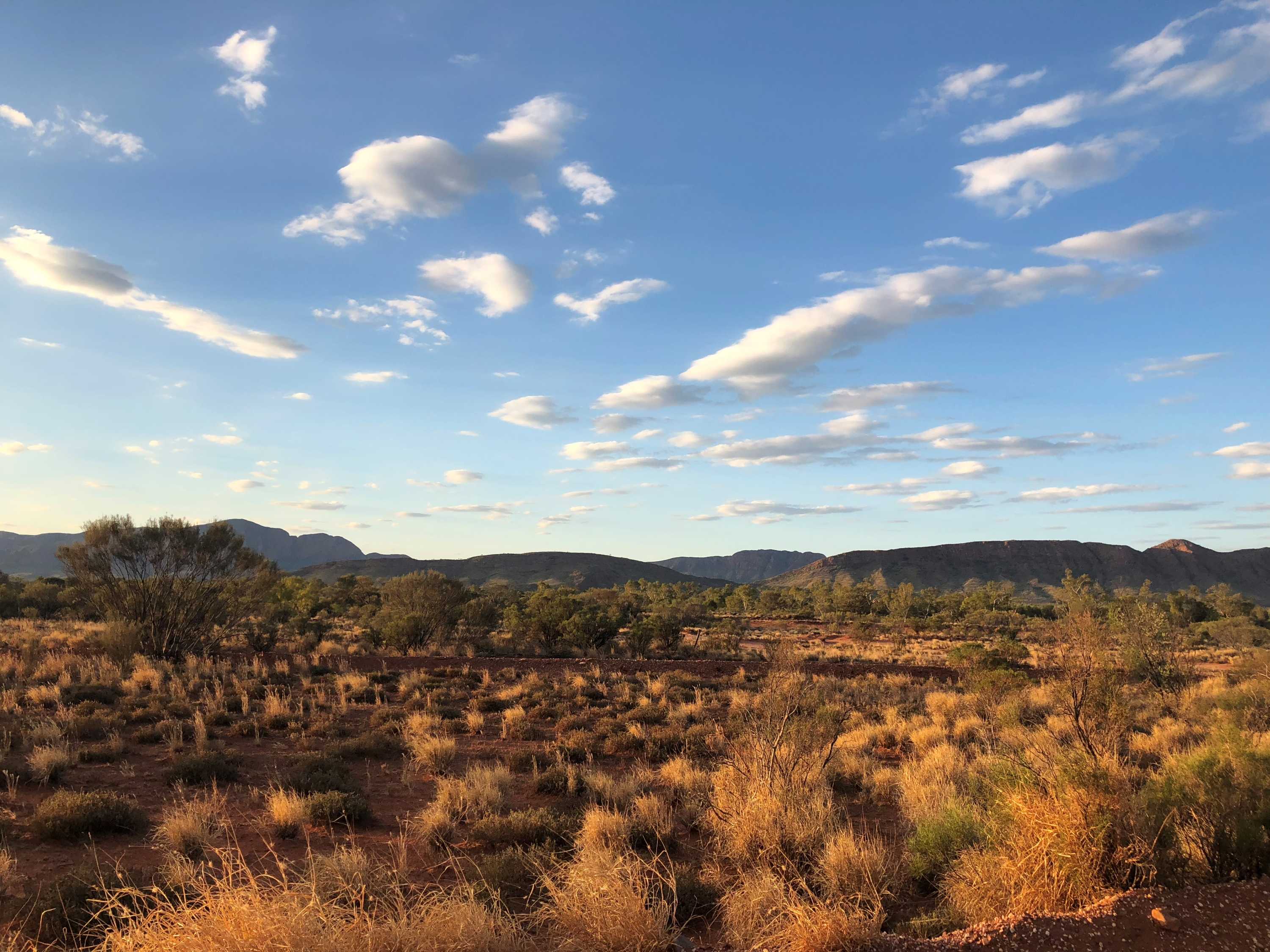 Remote Australia deaths prompts warning outback travel dangers could rise ABC News