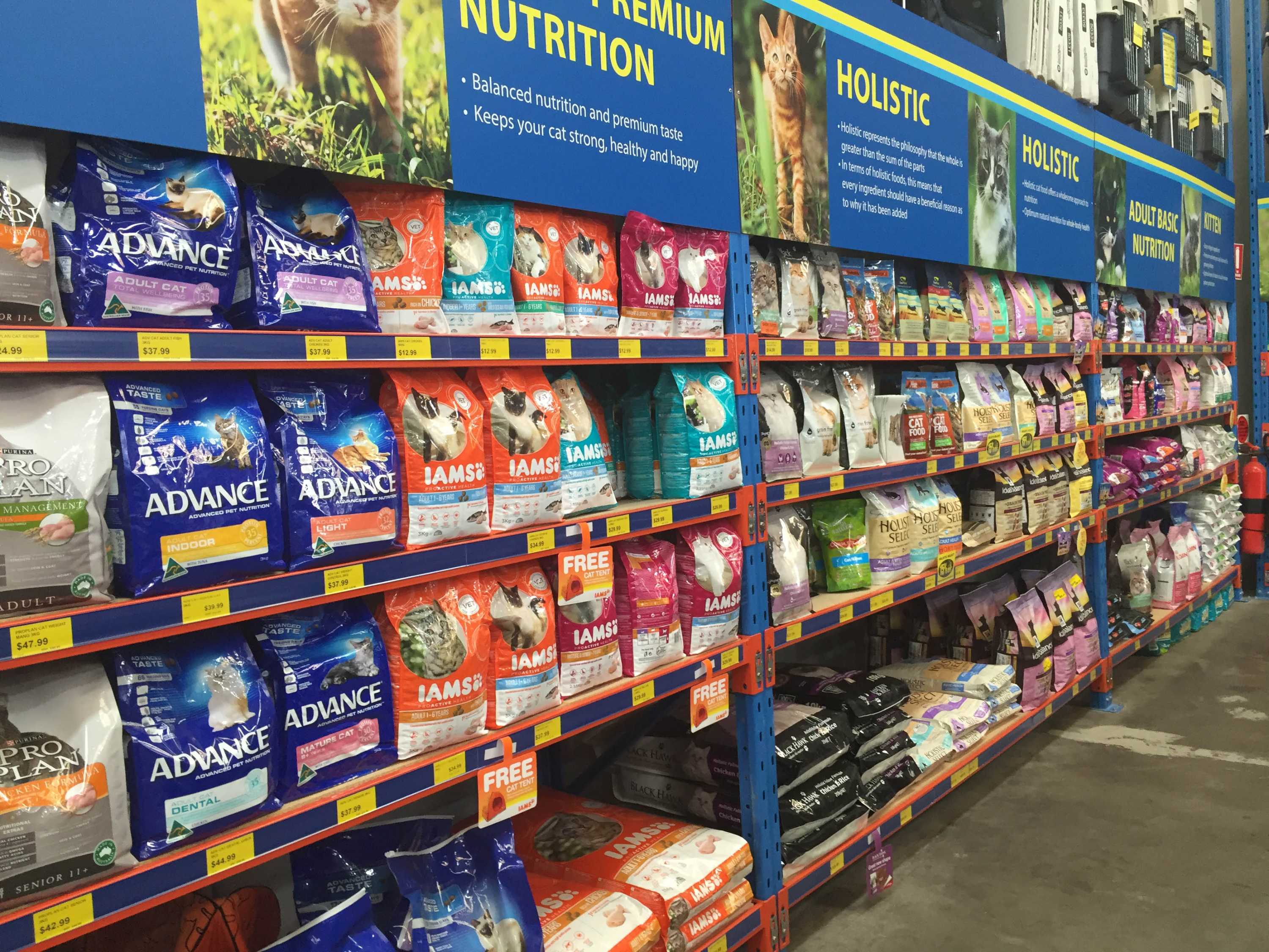 Some supermarket cat food brands may cause 'severe illness', study