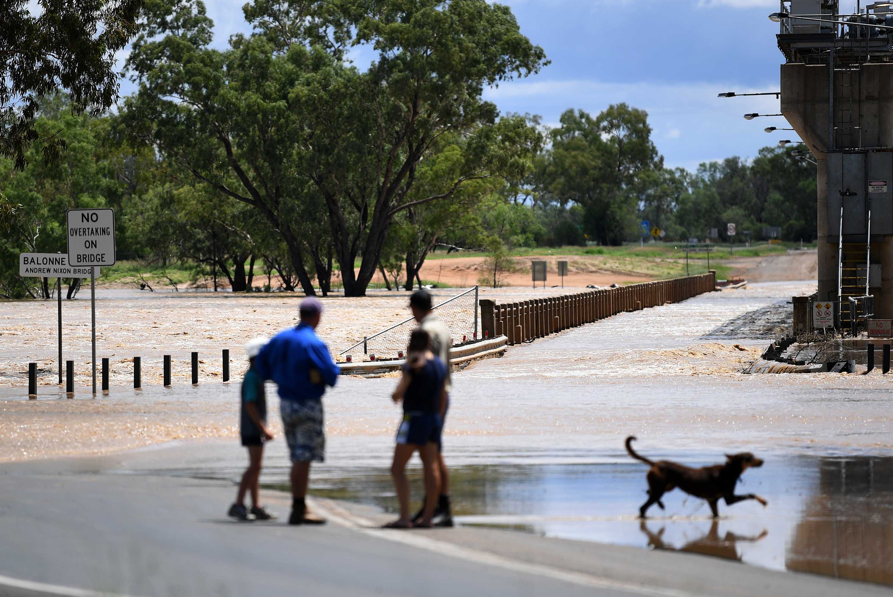 St flooding leaves no housing damage after Balonne River peaks