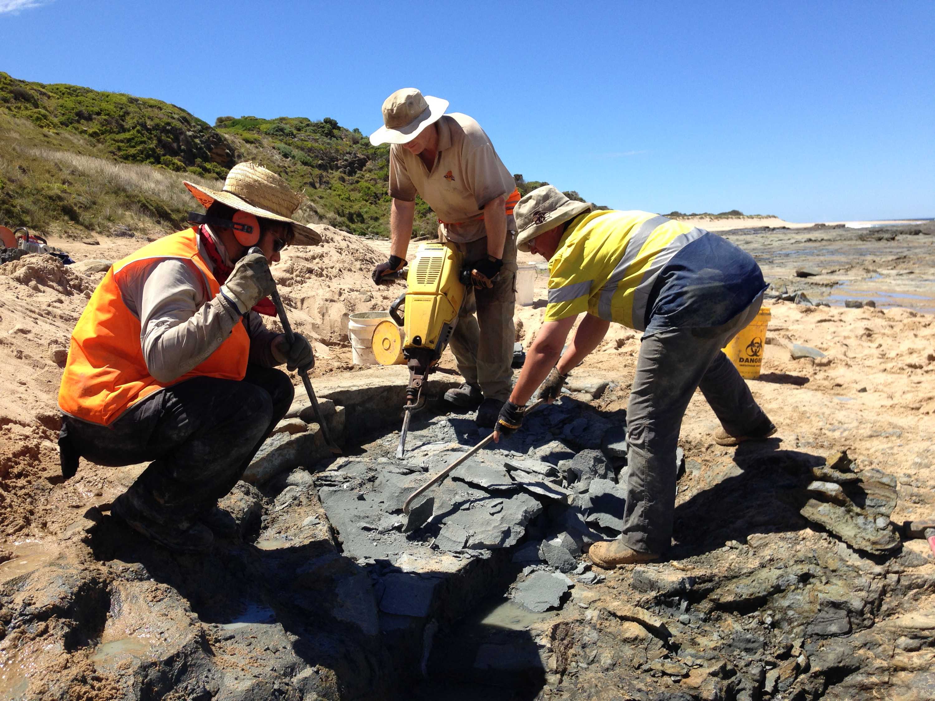 Virtual dinosaur digging Using technology of the future to visit the