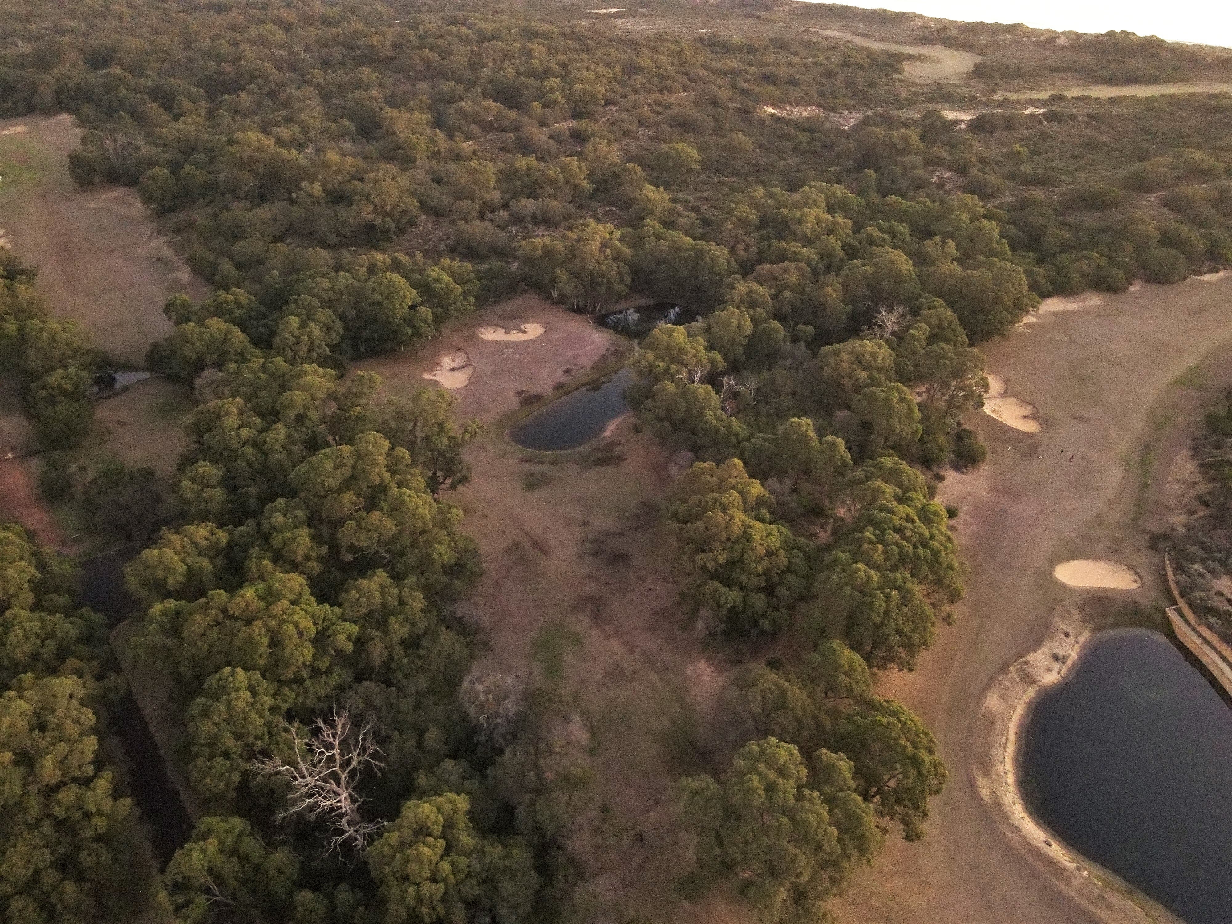 Andrew Forrest scoops up prime land in Binningup for major residential