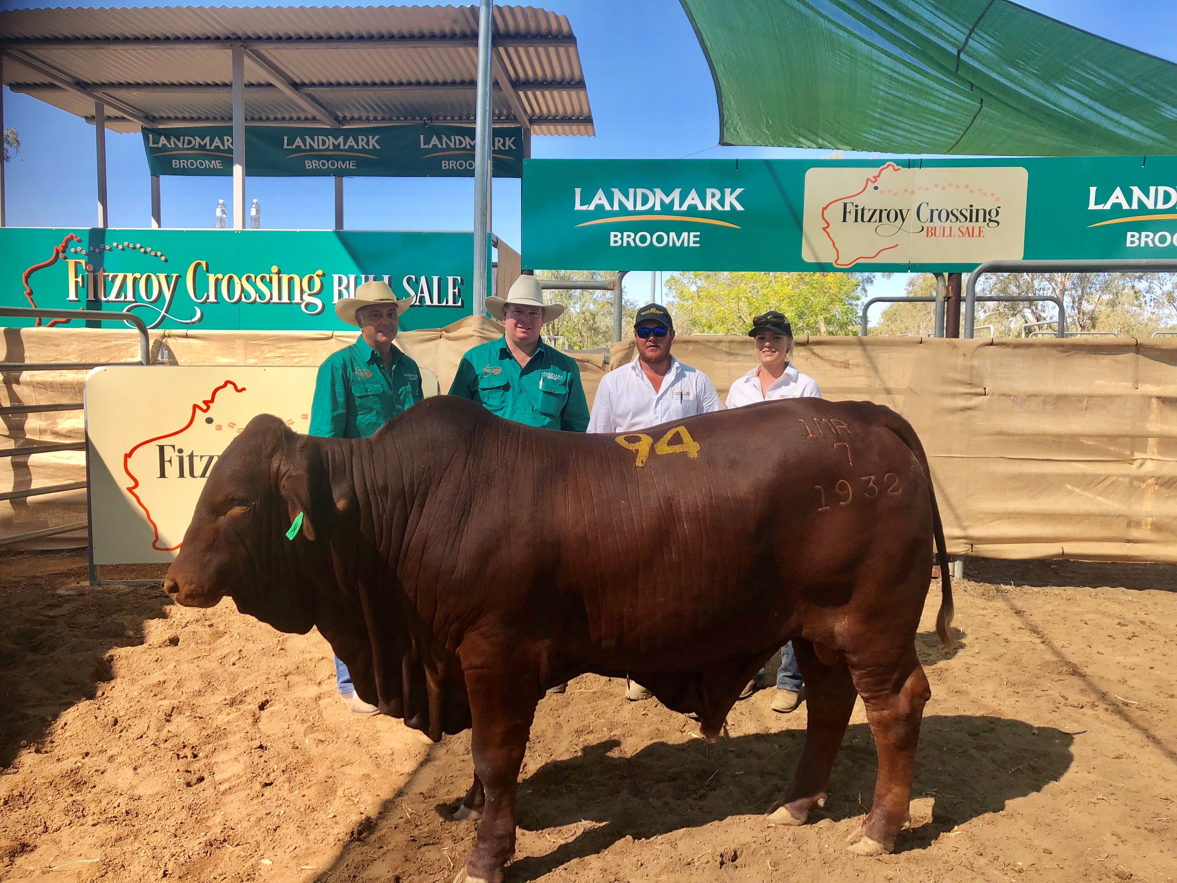 Blue ribbon results at Fitzroy Crossing Bull Sale despite tough year of