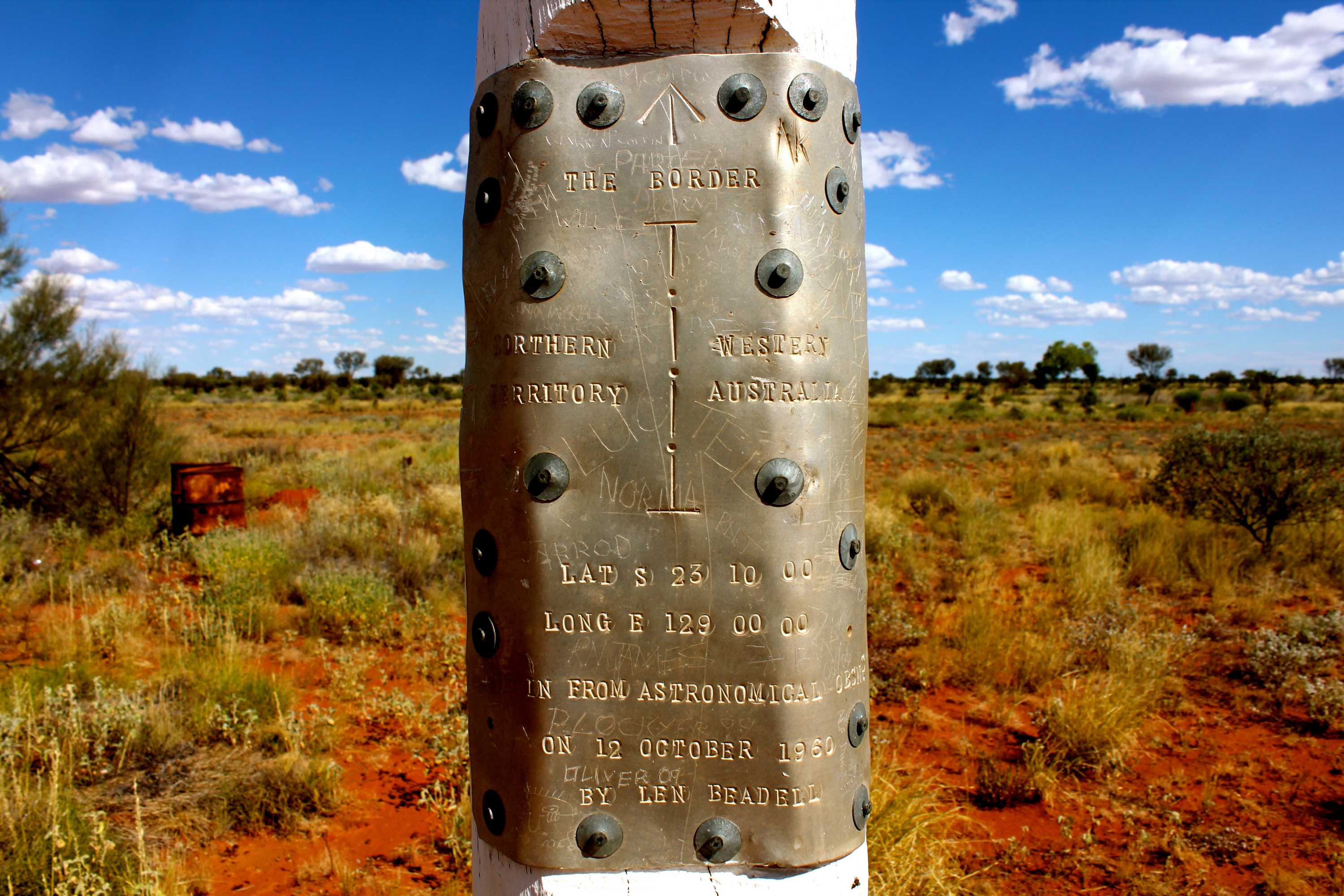 Wild camels on Kintore road Kintore to Kiwirrkurra ABC News