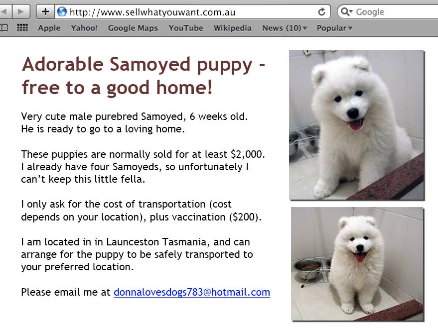 How Old Does A Puppy Have To Be To Be Sold