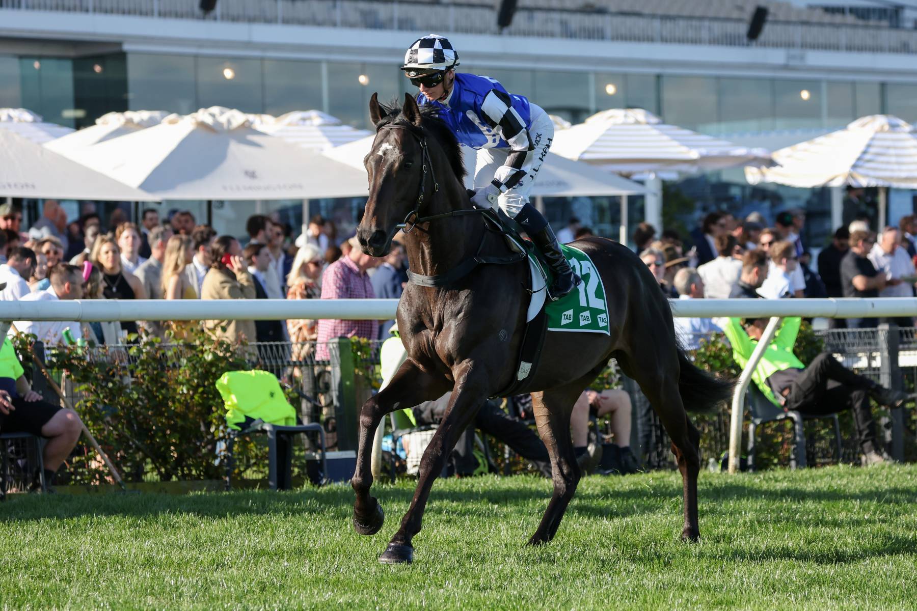 Melbourne Cup 2022 Field, horses, form guide and finishing order ABC