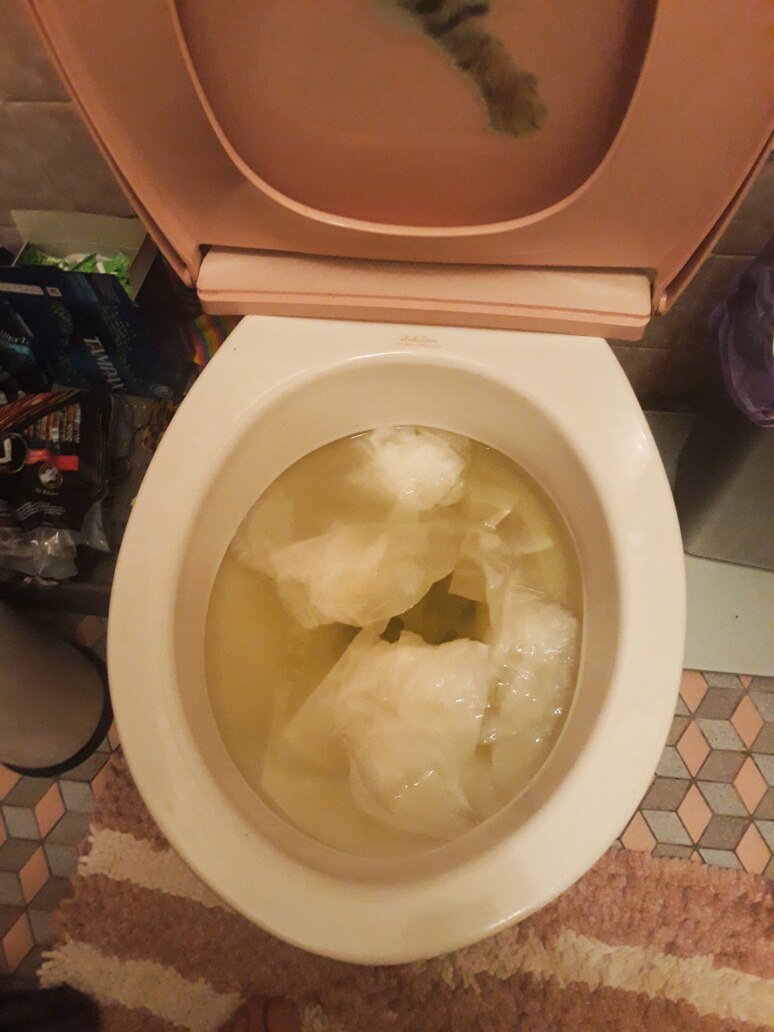 Lithgow toilets overflow with sewage in heavy rain as town's waste