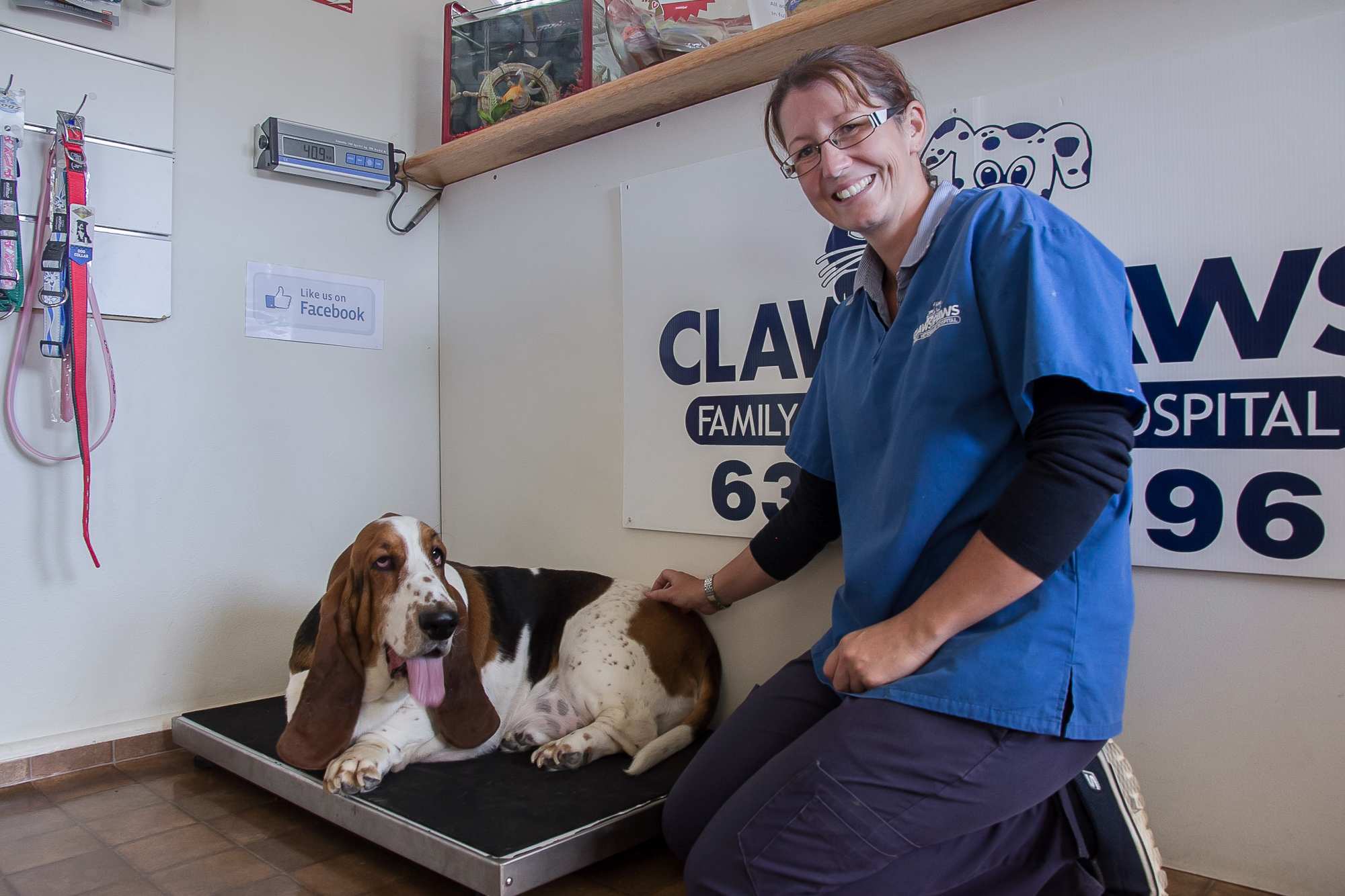 Biggest Loser for dogs helping tackle Australia's pet obesity issue