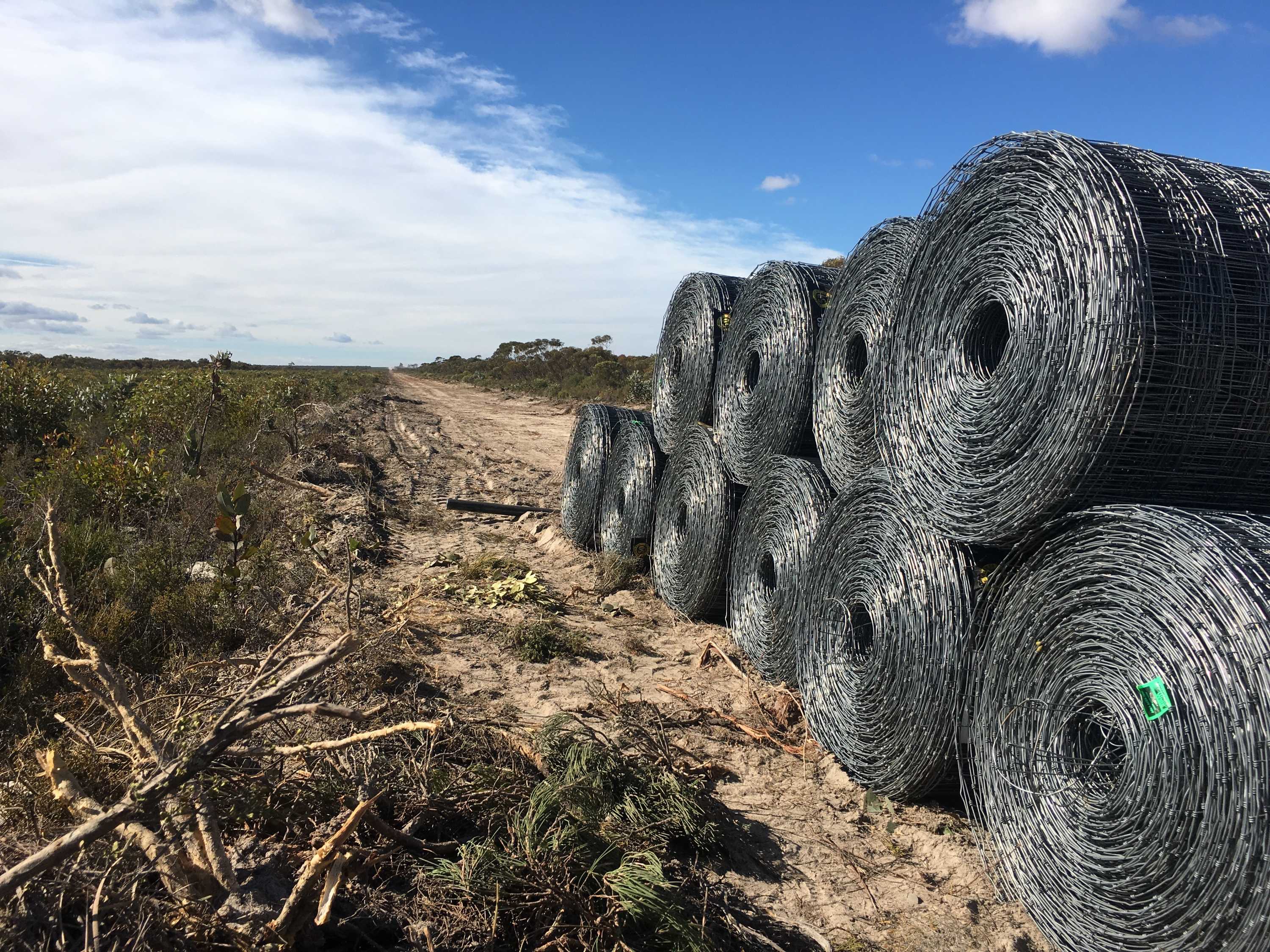 Construction begins on Esperance's 11 million wild dog fence after