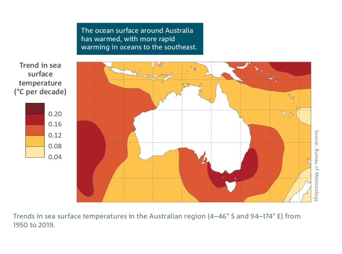 Climate change pushed ocean temperatures to record high in 2020, study