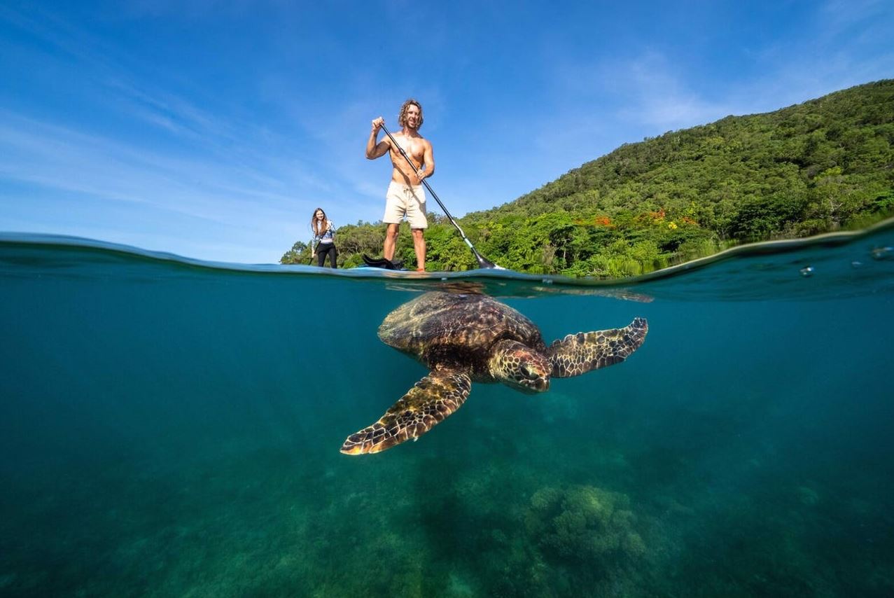 Fitzroy Island Resort off Cairns up for sale, expected to fetch more