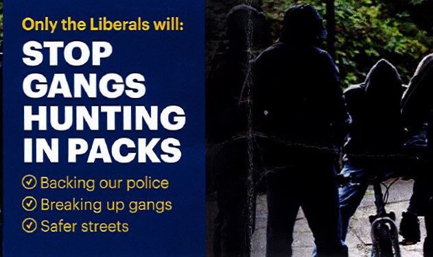 Fact check Do Sudanese people account for only 1 per cent of crimes