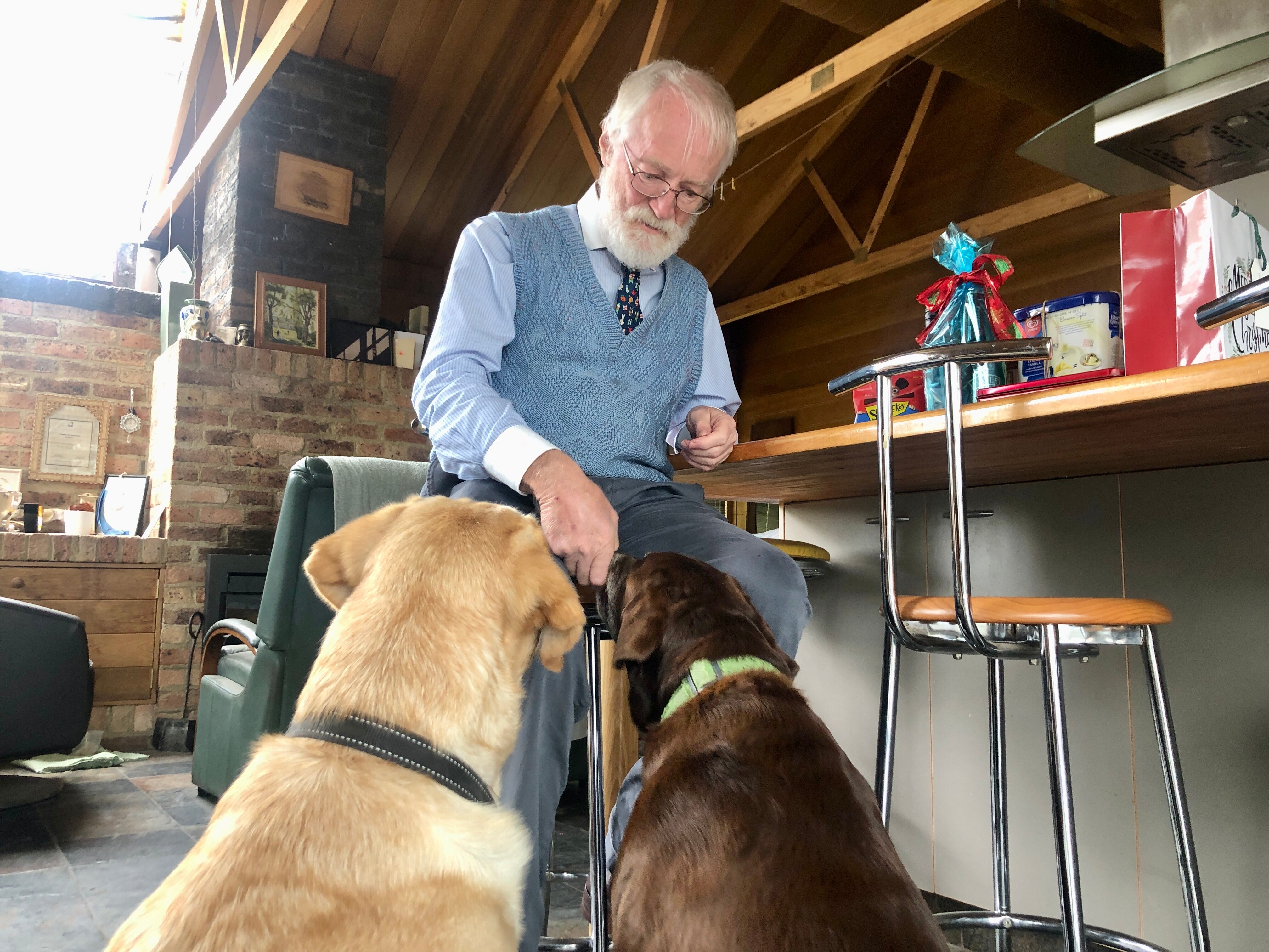 Canberra dog owner urges keeping a close eye on pets during festive