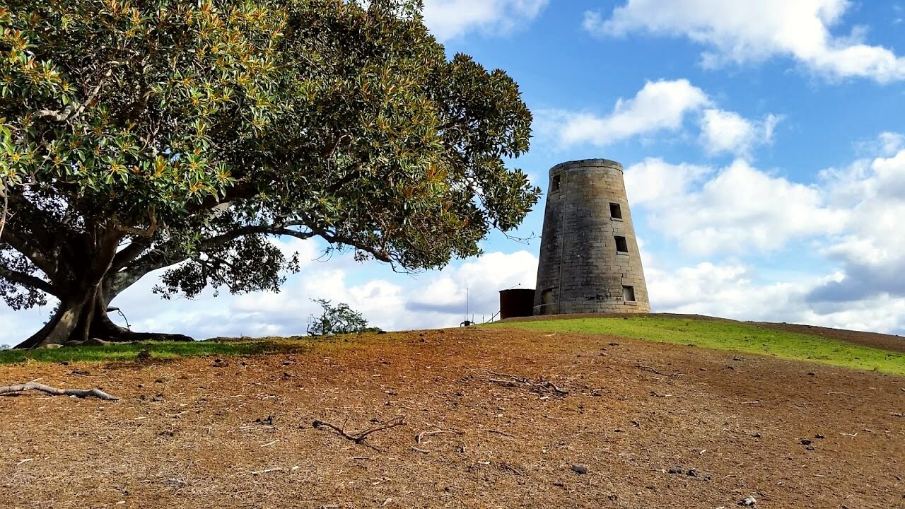NSW heritage lists historic homestead to protect koalas threatened by