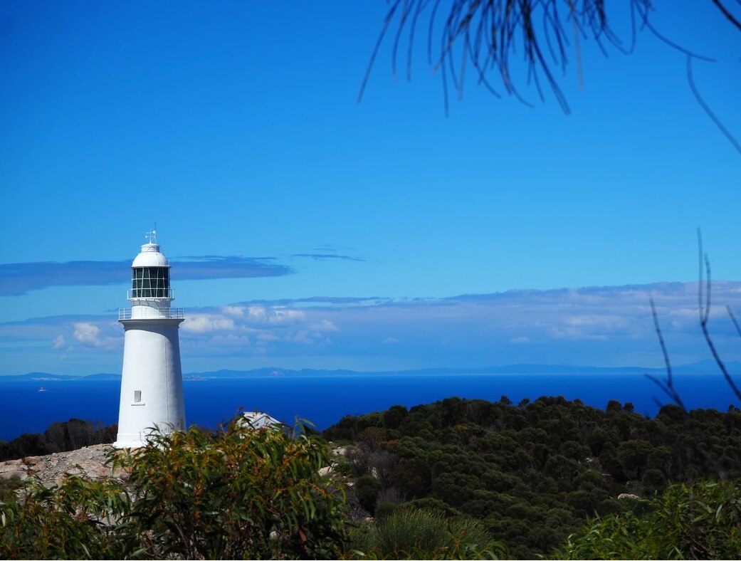 Before coronavirus came, this couple had already chosen isolation on