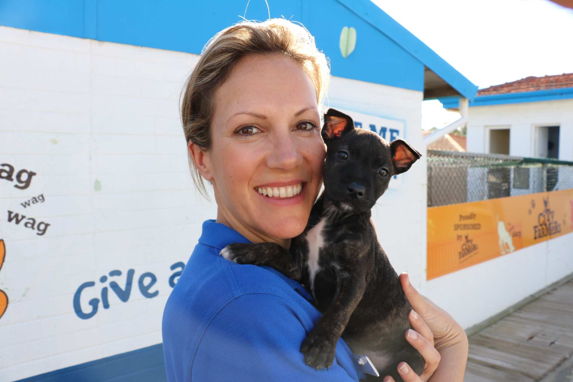 Government funding extended to WA cat and dog shelters ABC News