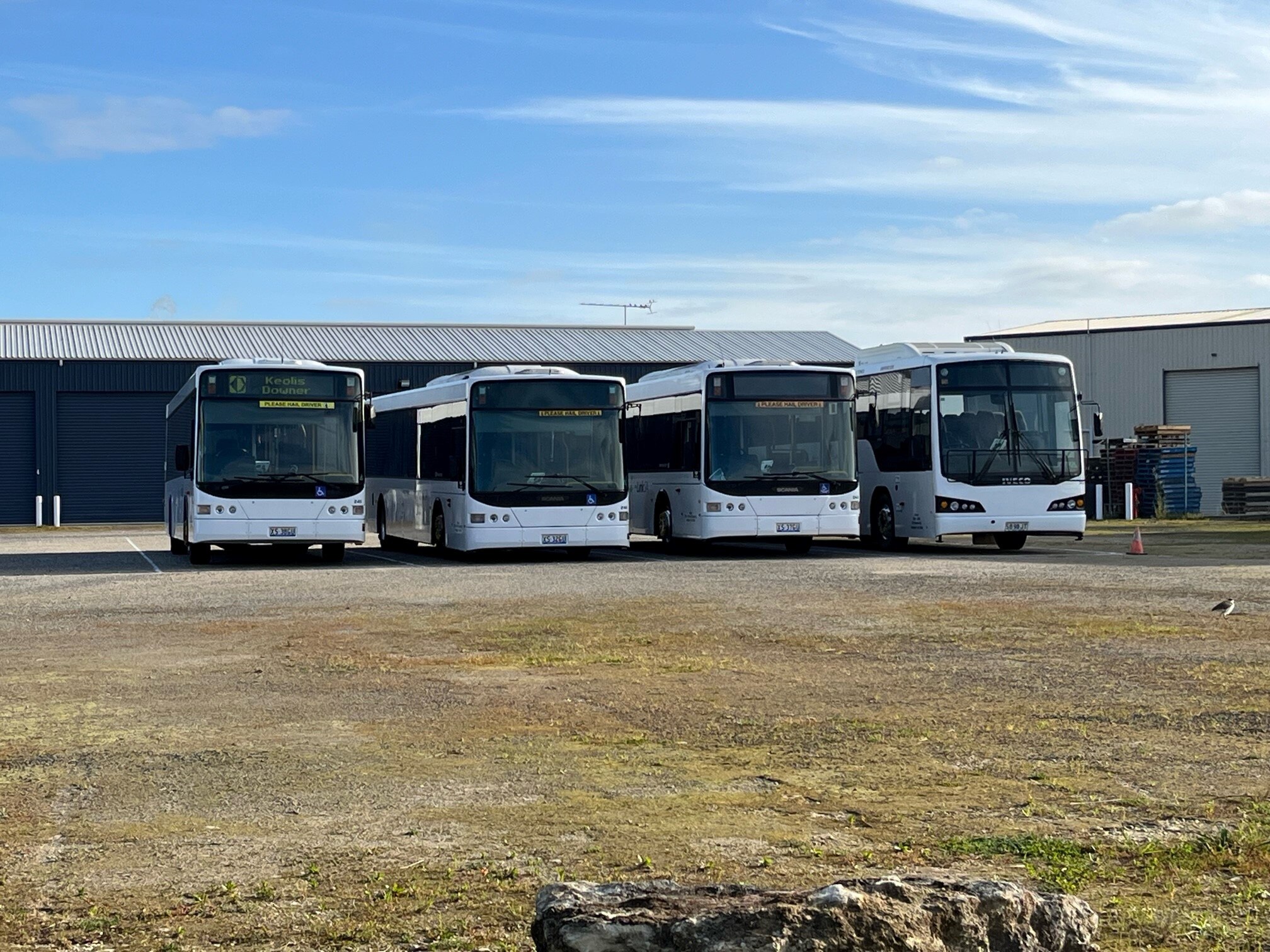 Hopes for more accessible Mount Gambier bus system dashed, after new service contract signed