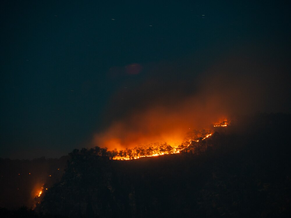 Bushfire closes Carnarvon National Park in central Queensland ABC News