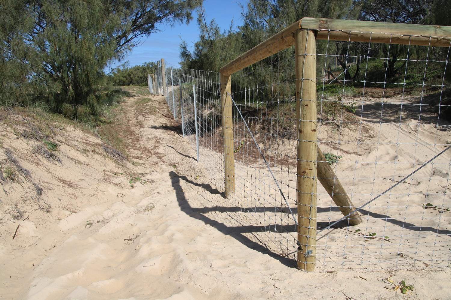 Fraser IslandK'Gari campgrounds remain closed to avoid dingohuman