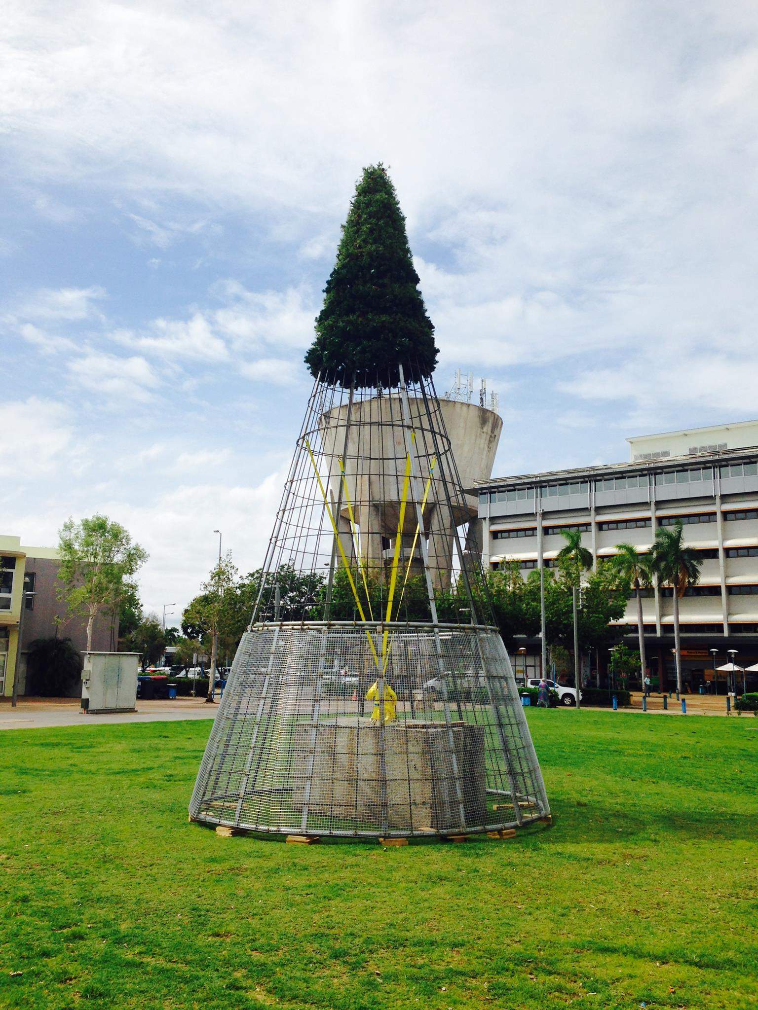 Palmerston council's 45,000 cycloneproof Christmas tree ABC News