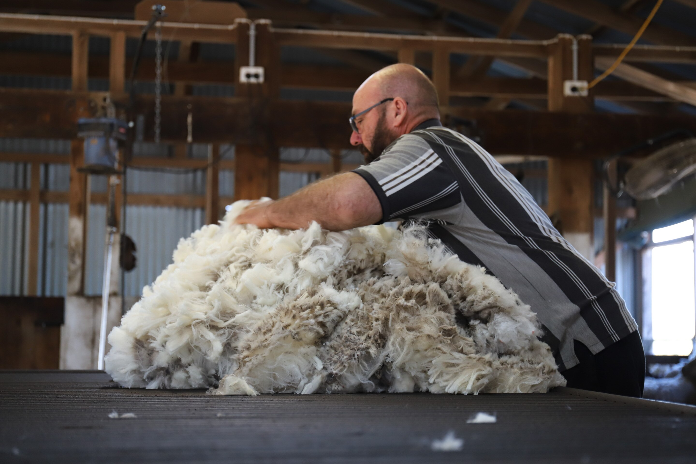 Knowing which sheep your woollen jumper came from possible with