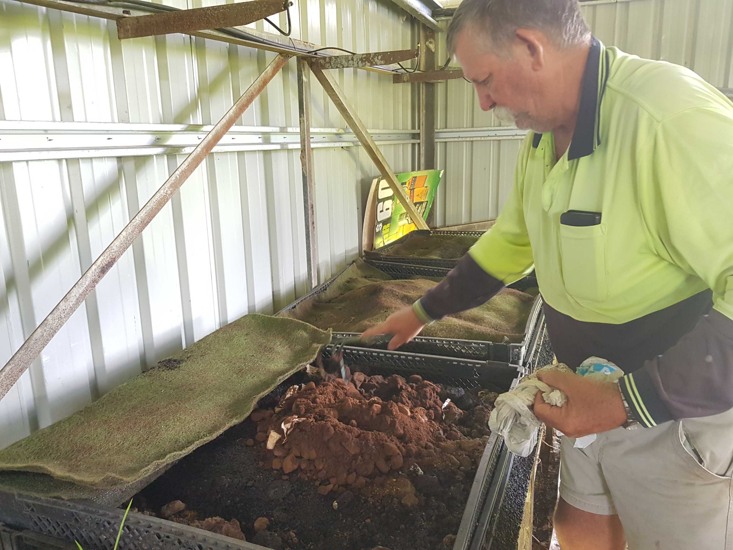 Coffeeloving worms are munching their way through old grinds and