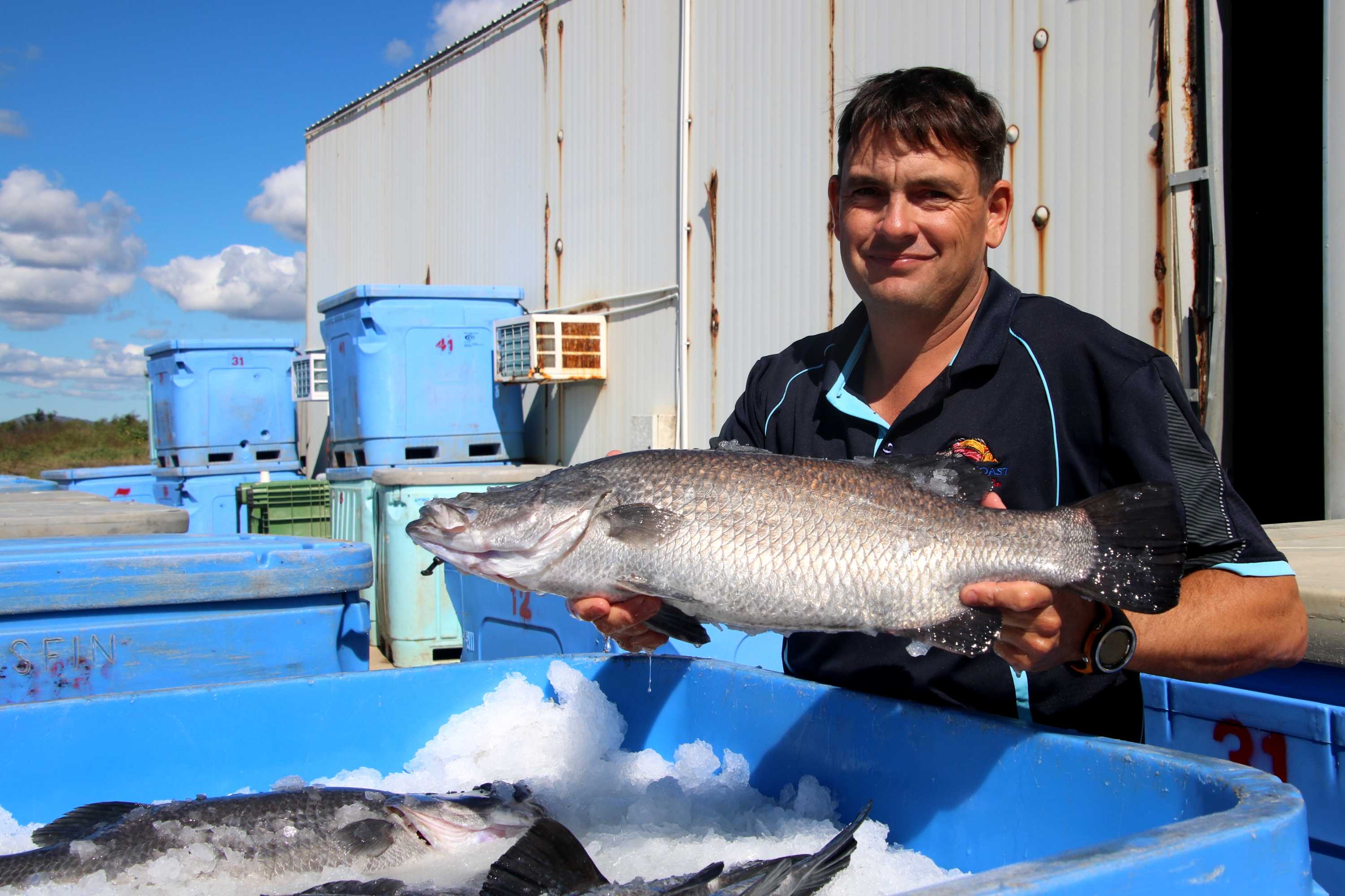 Buy Australian seafood, producers say, as north Queensland farms