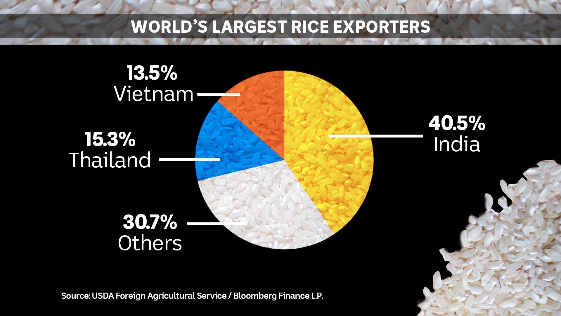 'Humanitarian doom loop' Millions more go hungry as Indian rice export
