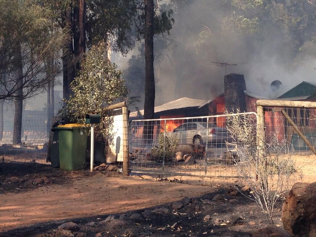 Stoneville 6081 Location ABC News