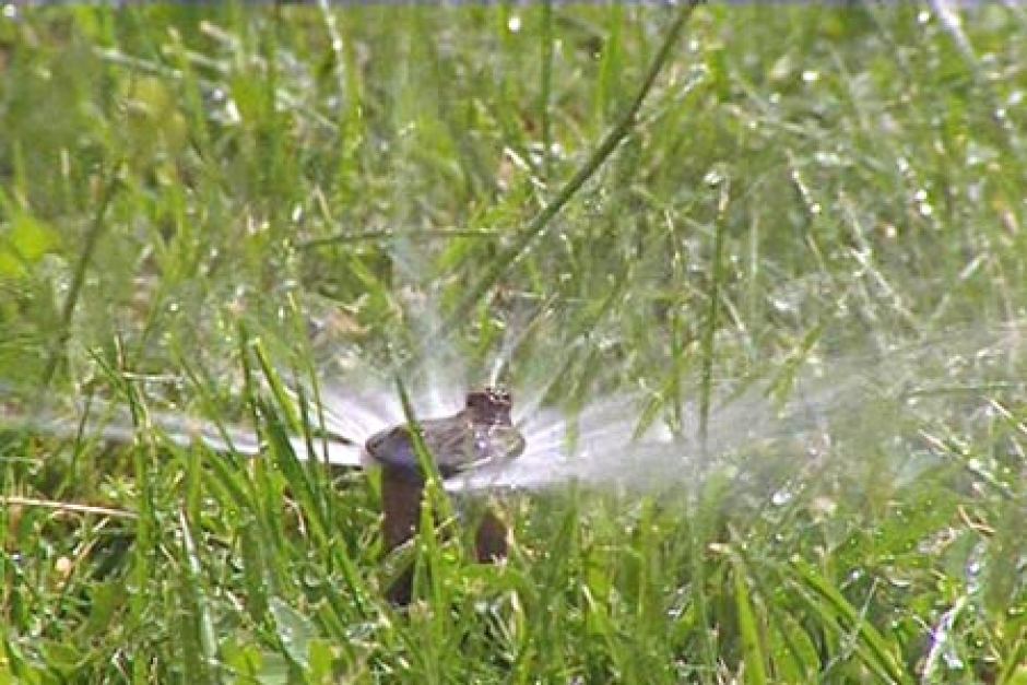 Sprinkler ban extension on cards as Perth faces drying trend ABC News