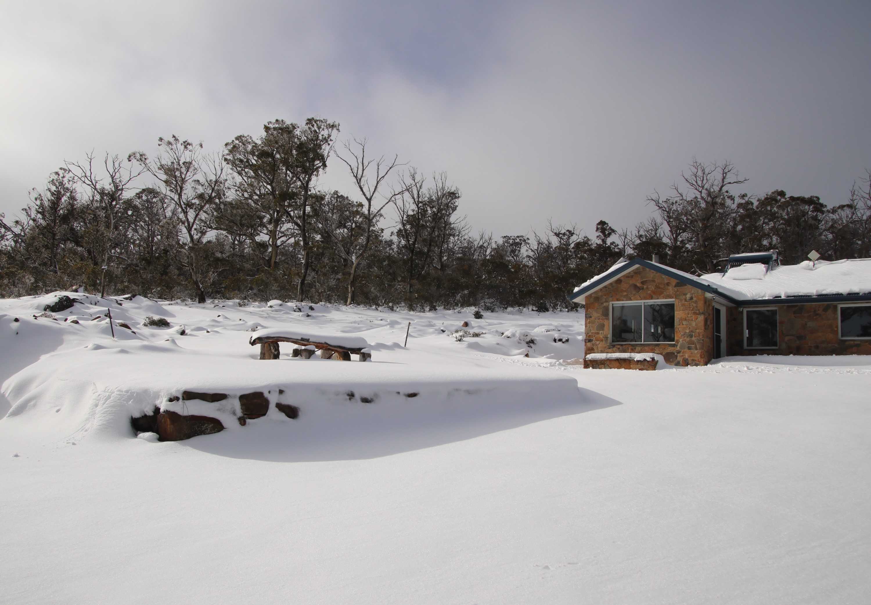 Tasmania snow just part of life in Central Highlands lakeside town of