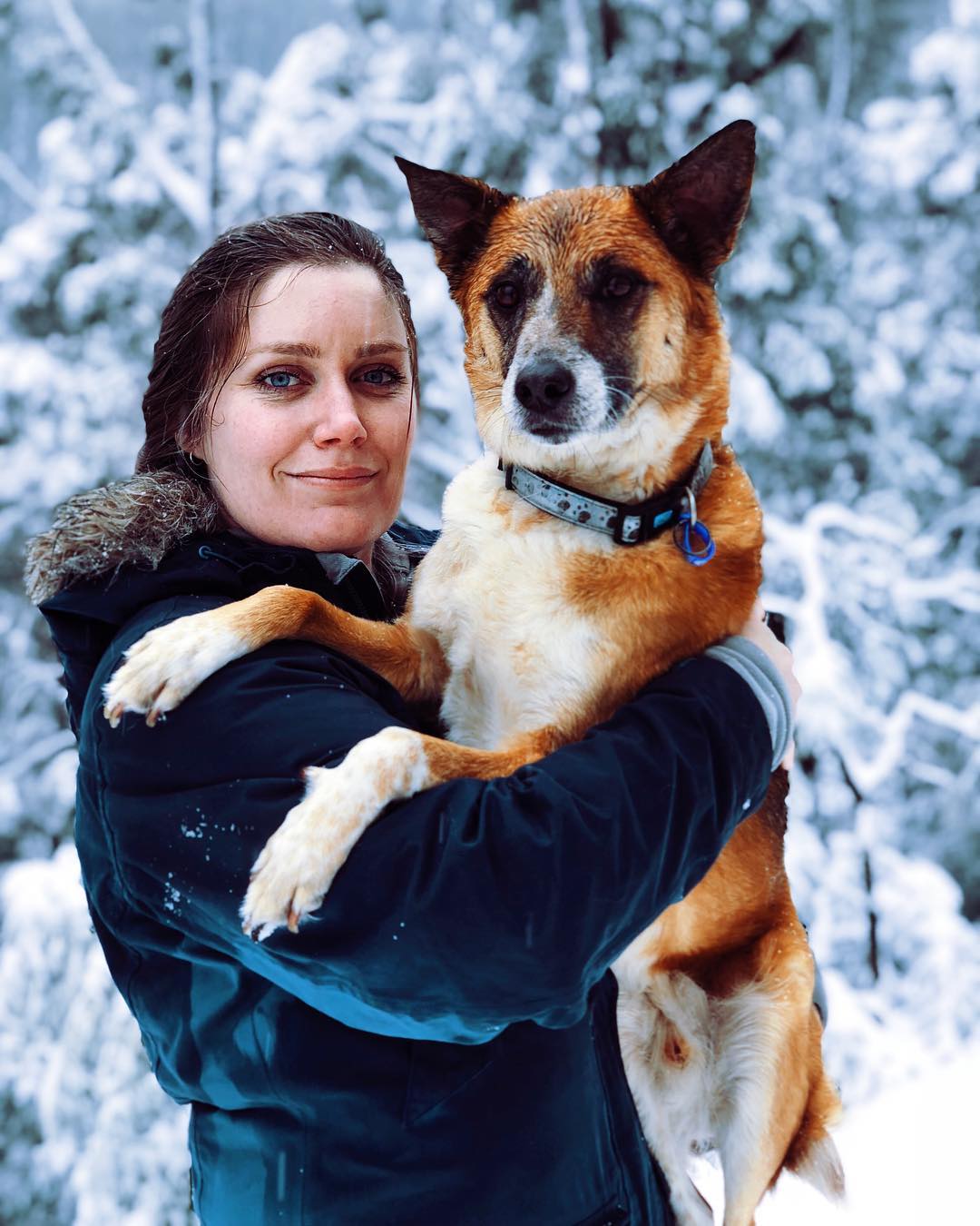 Cat and dog euthanasia rates slashed as rescue culture and 'fur babies