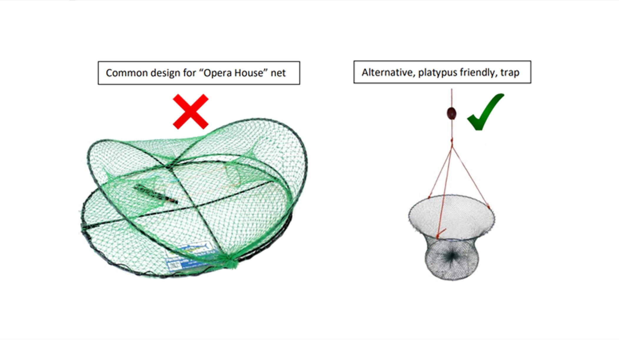 Queensland Fisheries survey seeks feedback on potential 'opera house' yabby trap ban ABC News