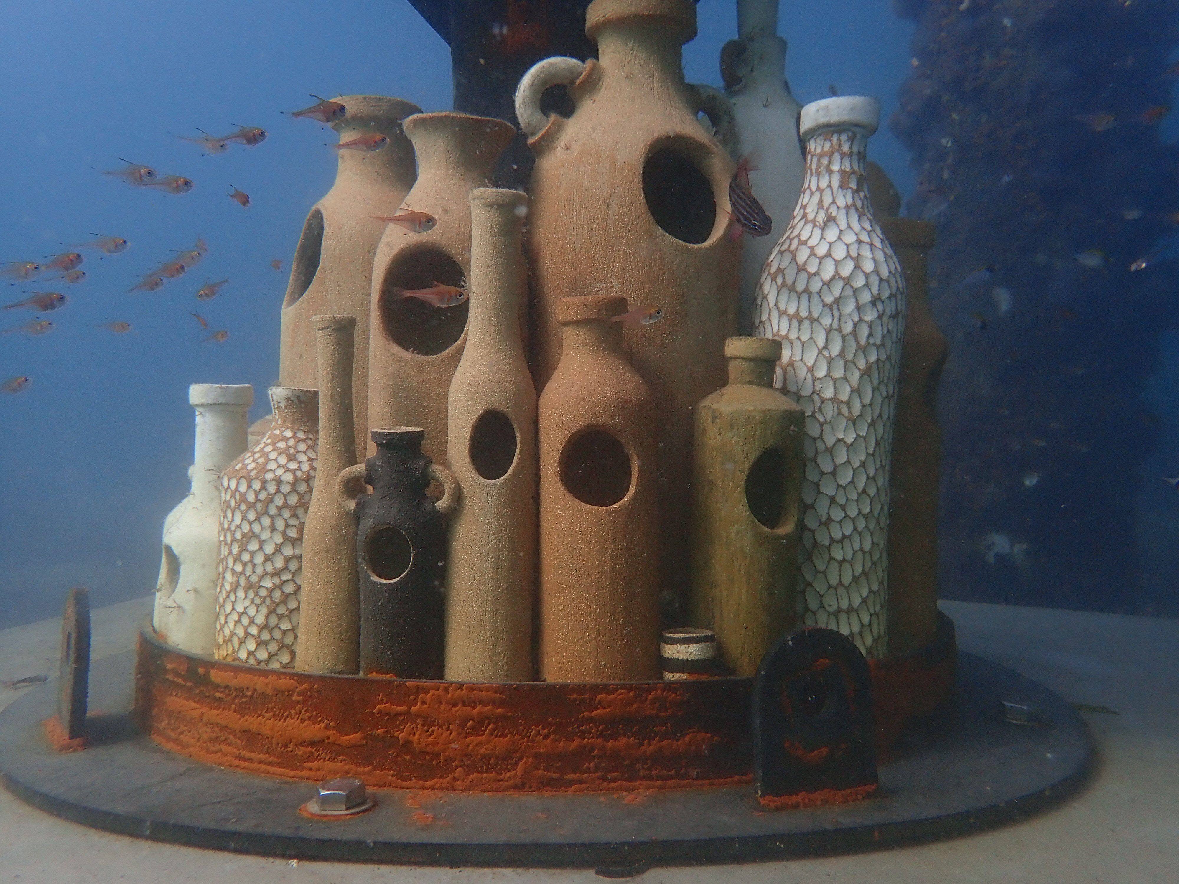 Marine life makes new home within artwork sunk at the end of Busselton