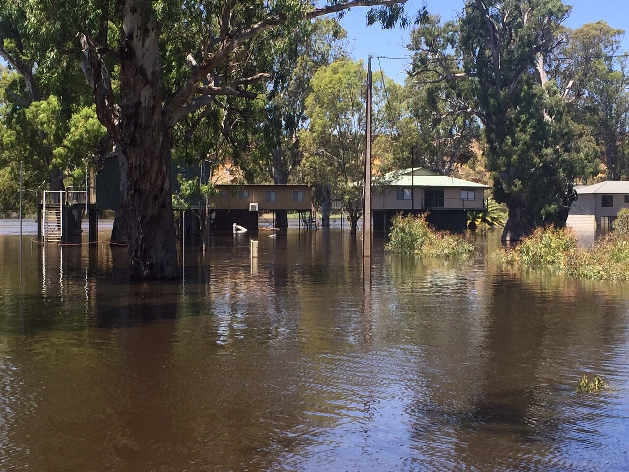 River Murray shacks, campgrounds submerged as waters peak at ABC News