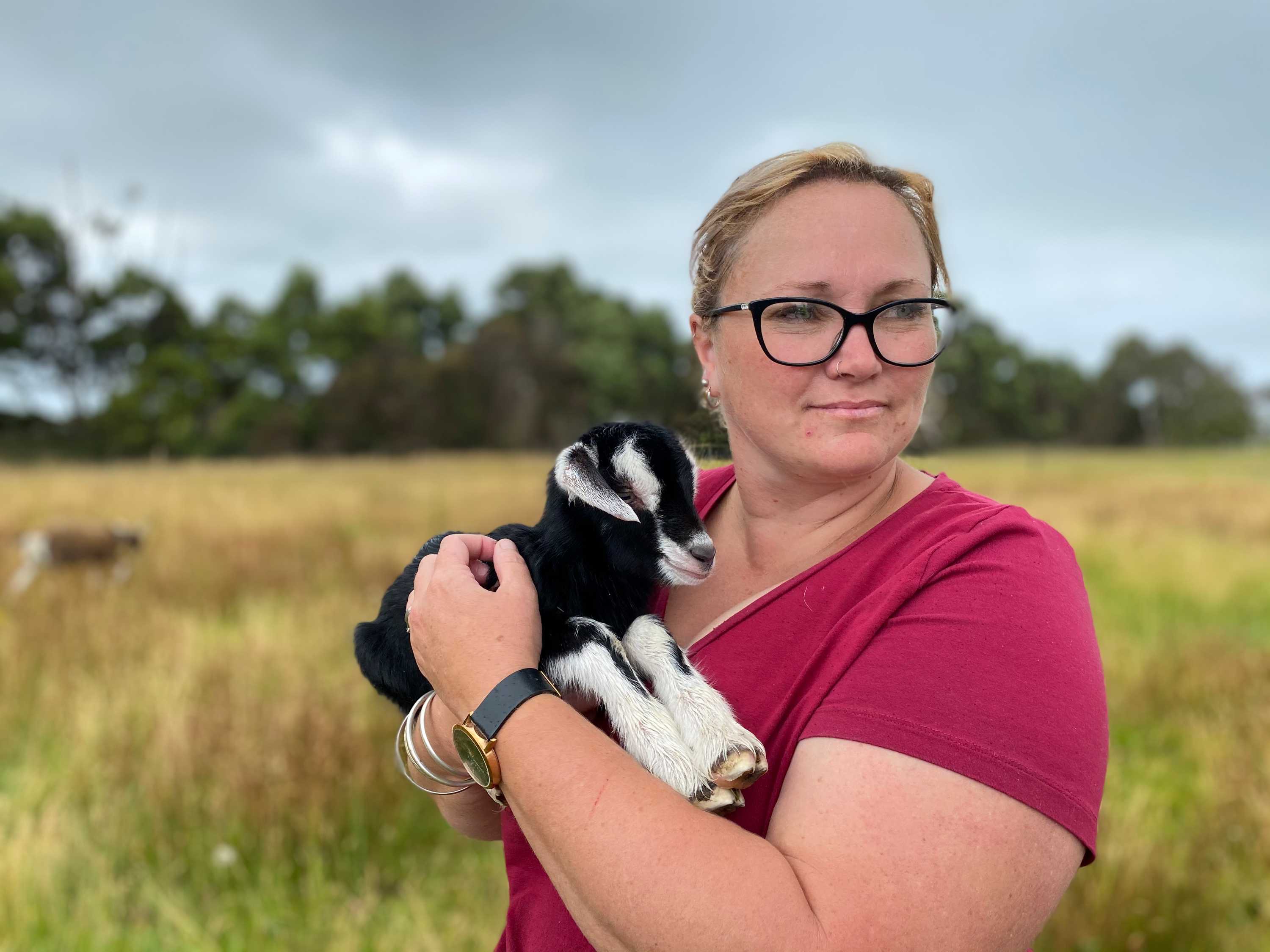 Gift of goats helps Tasmanian dairy farmer recover mental health ABC News