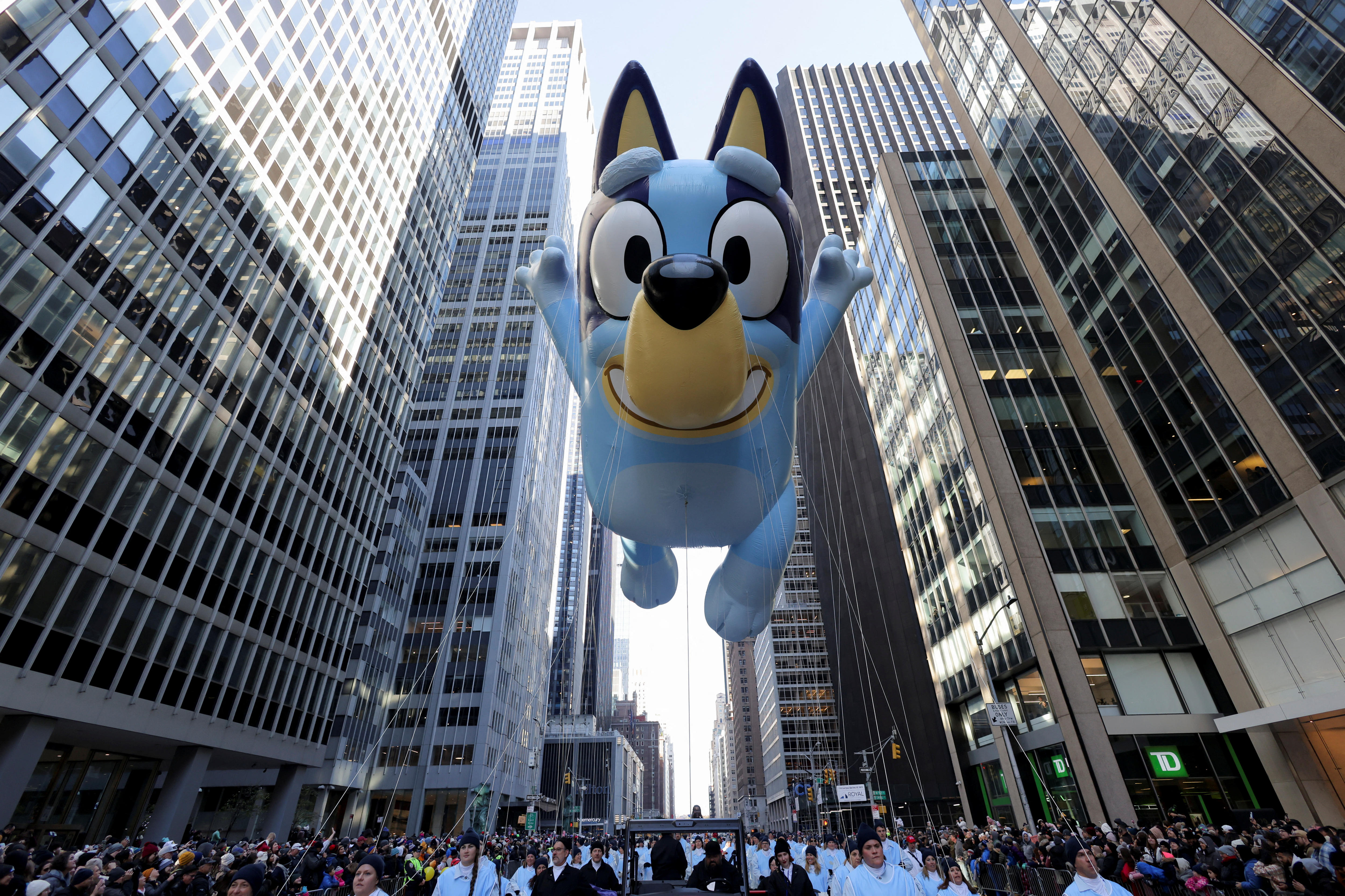 Bluey joins the Macy's Thanksgiving Day Parade in New York for the