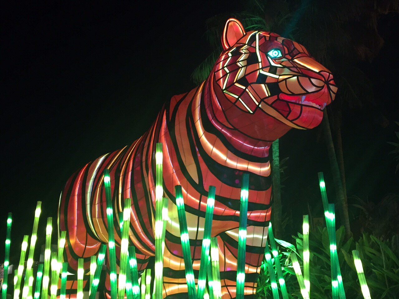 Vivid 2016 Animals to light up Taronga Zoo during Sydney festival