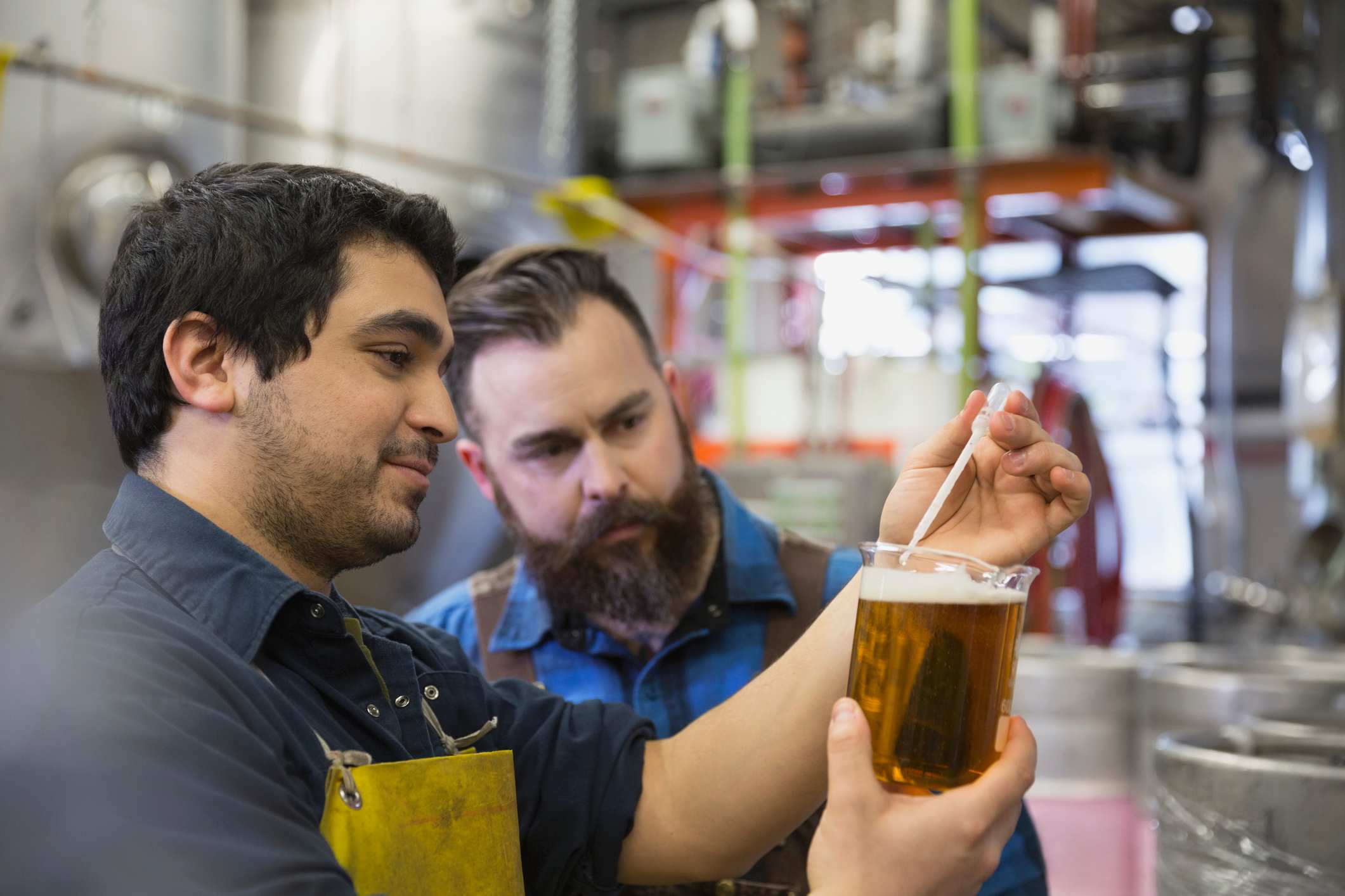 Looking for a lowgluten beer? Here's what you need to know ABC News