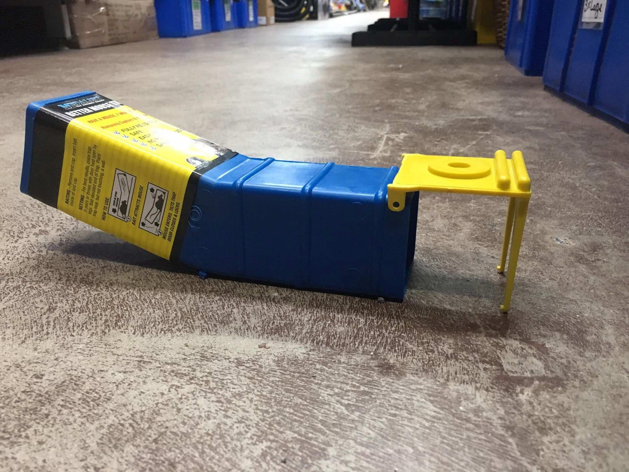 Call to remove glue mouse traps from discount stores ABC News