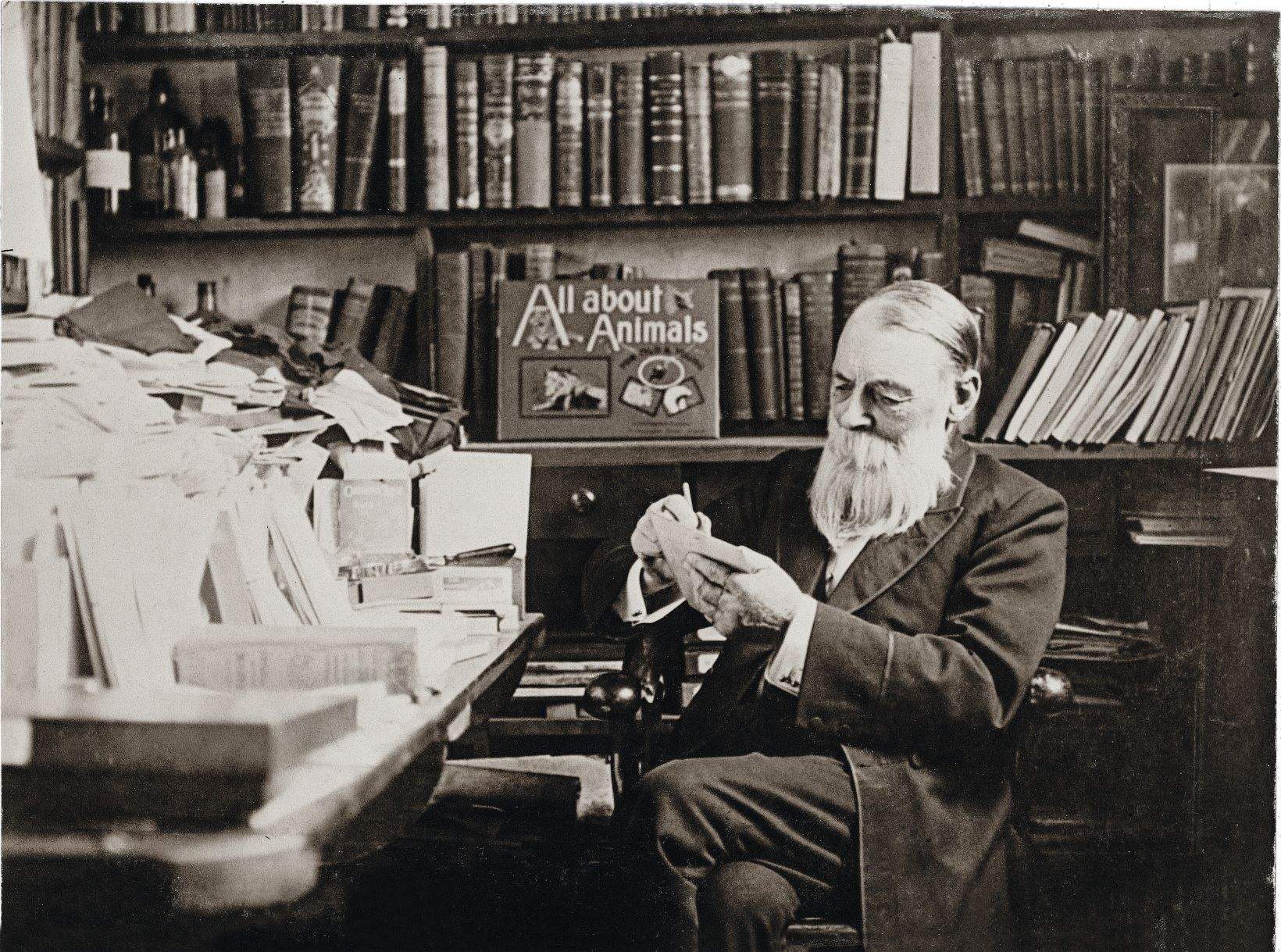 Millions of books, monkeys and an orchestra — the story of EW Cole and