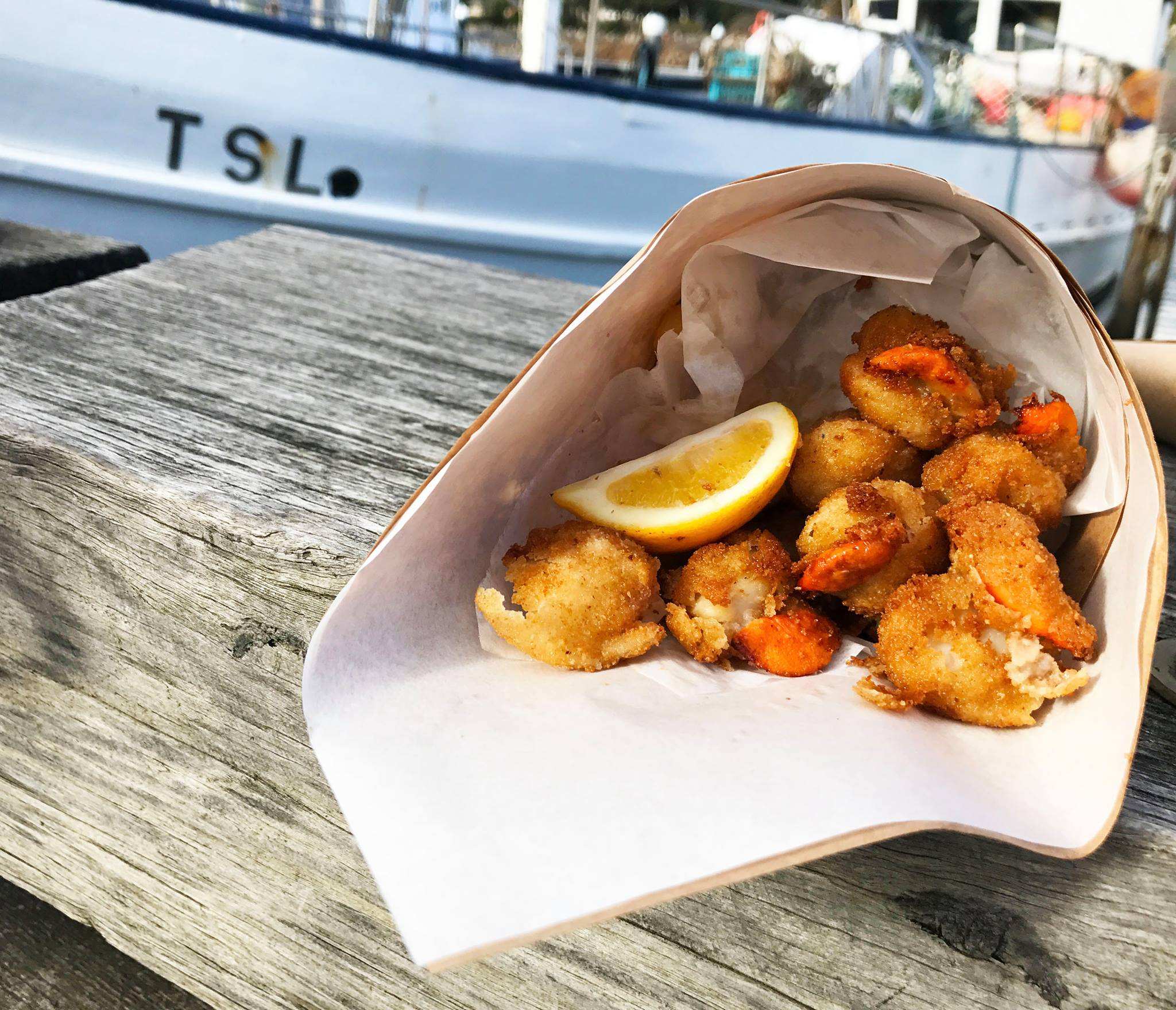 Decision to close Tasmanian scallop fishery for two years divides