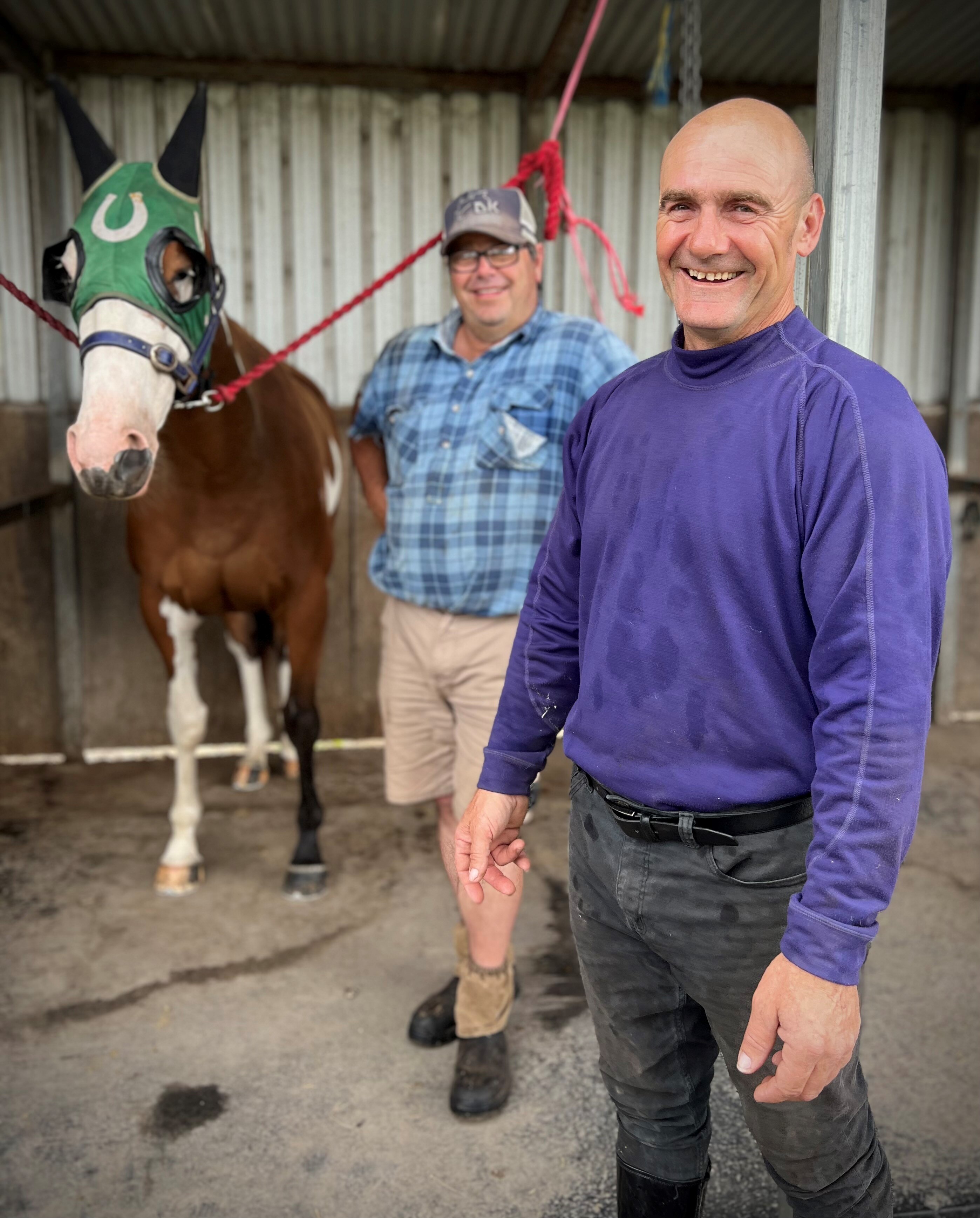 Racehorse Comanche Queen saves SA trackwork rider Danny Smith from life