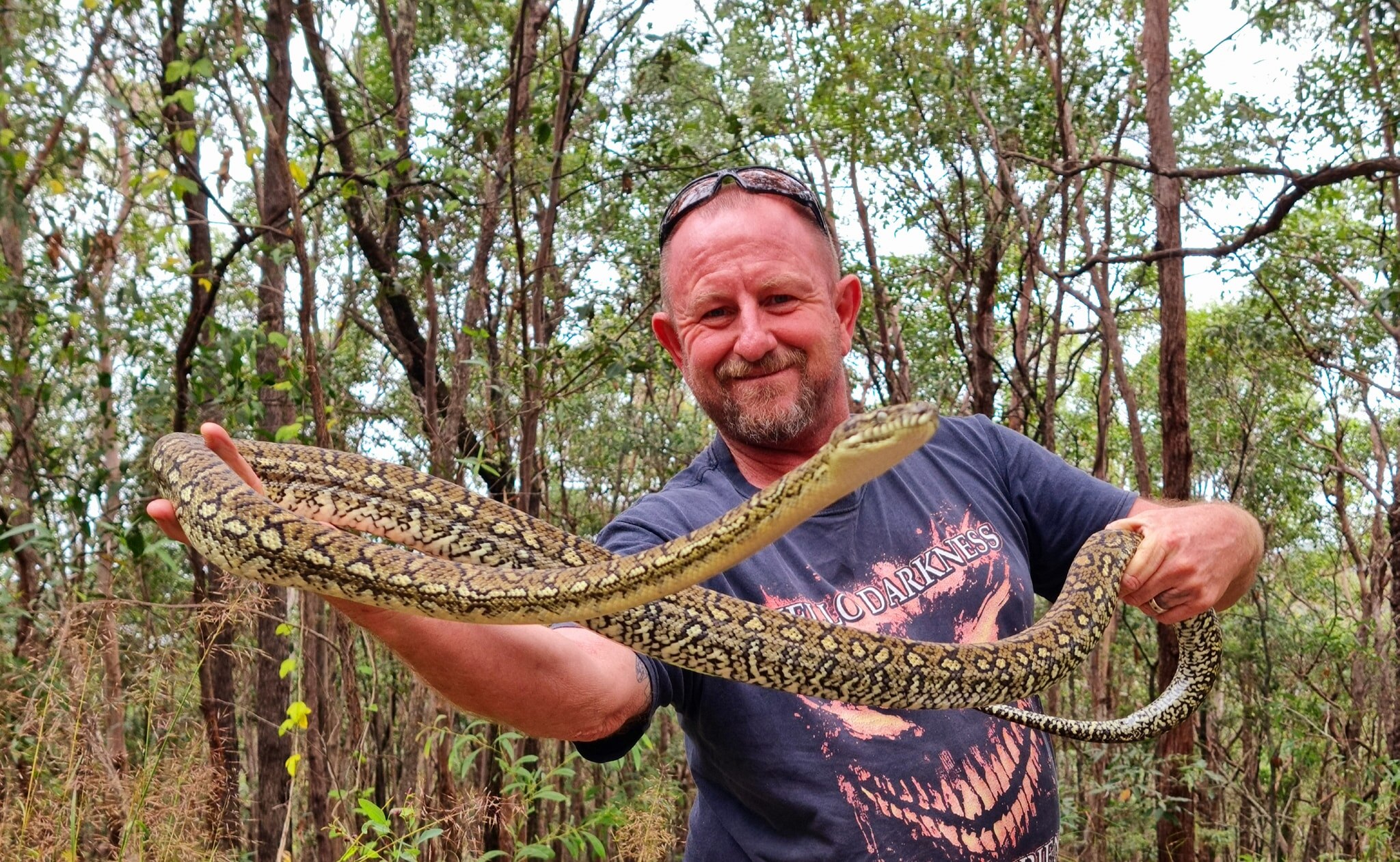 Queensland snake catcher inundated by calls from 'nervous' interstate