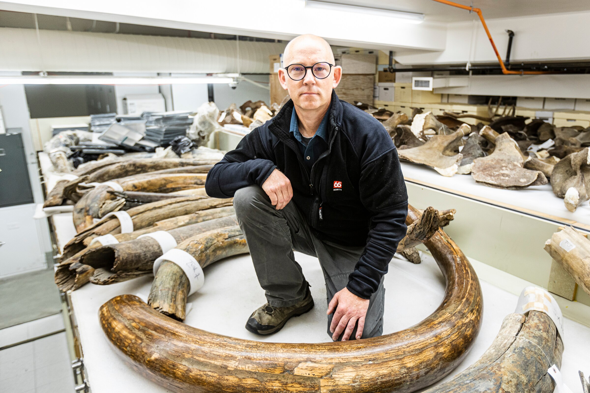 Fossil tusk reveals travels of woolly mammoth across Alaska 17,000