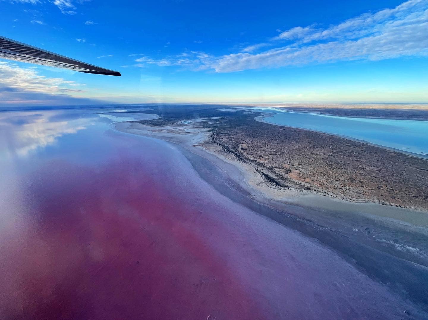 Outback in bloom as floodwaters travel hundreds of kilometres into Kati